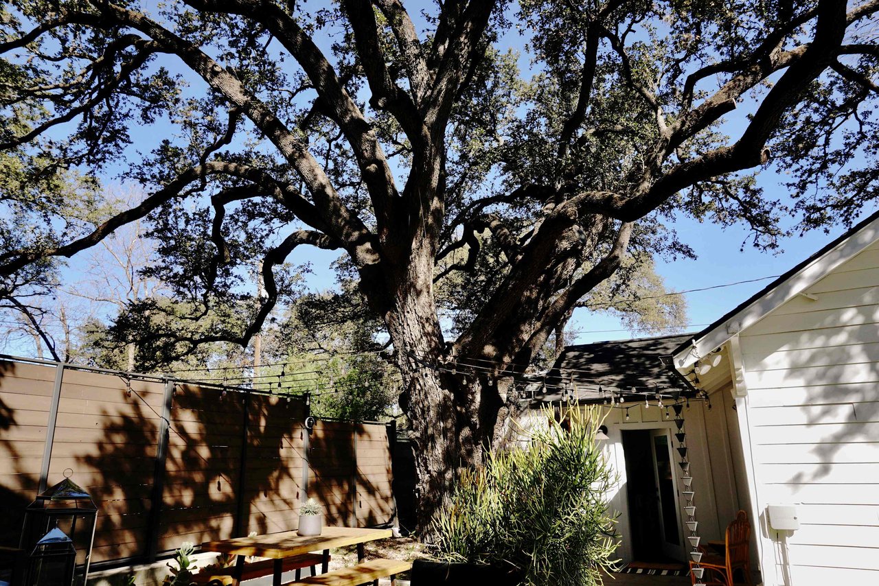 Charming Bouldin Creek Bungalow: Modern Upgrades in Prime South Congress Location