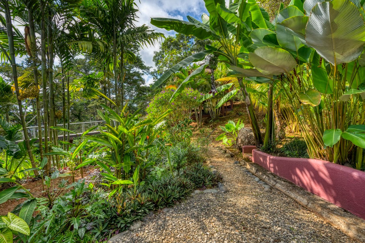 Stunning Ocean Views at Casa Perezoso