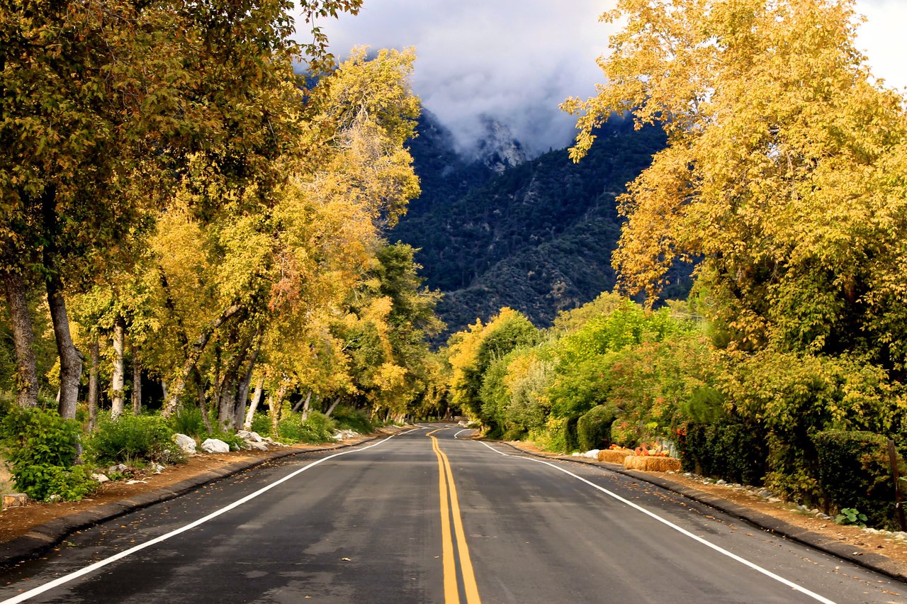 Oak Glen's winding driveway through a forested area with a breathtaking view of the mountains.