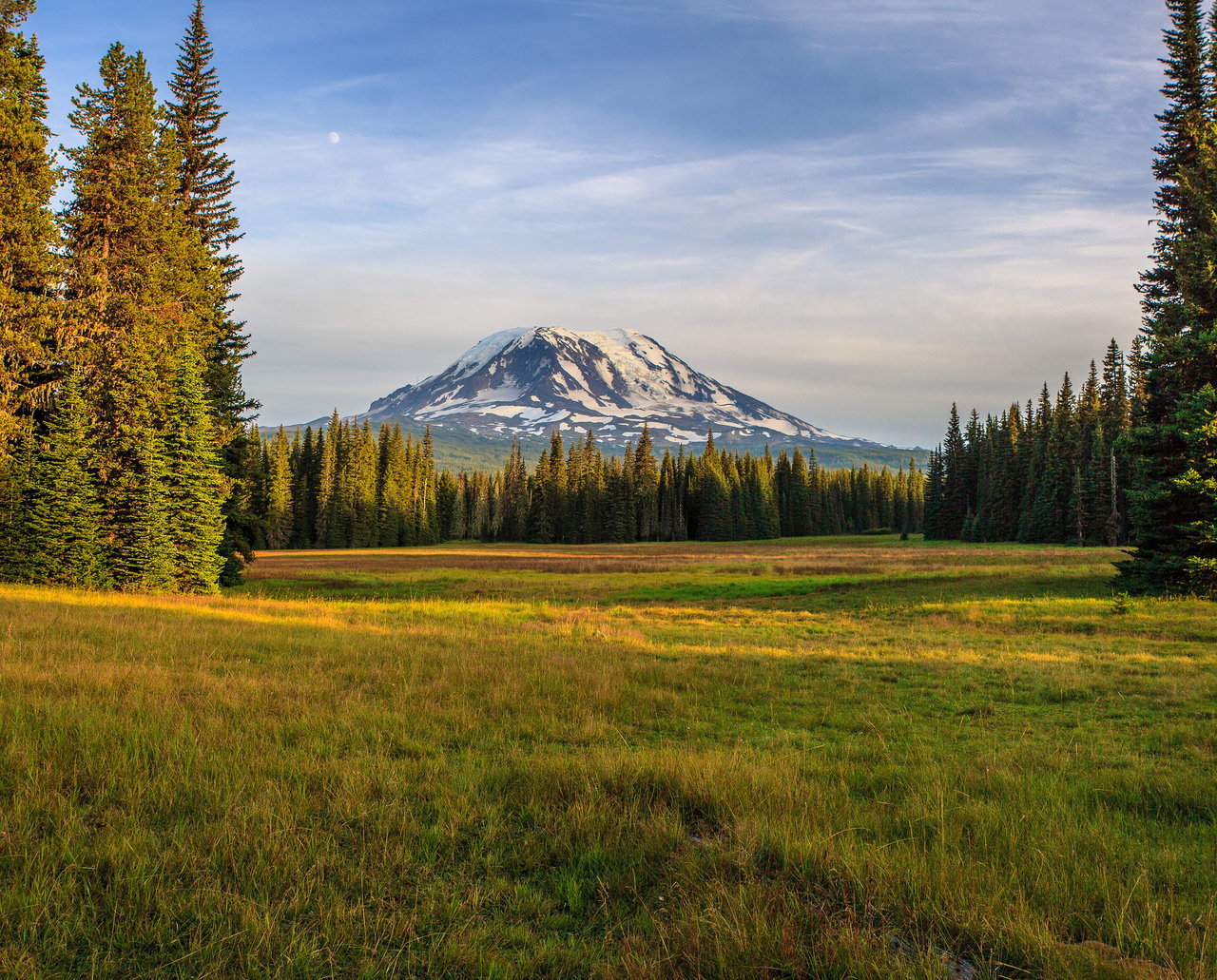 Trout Lake