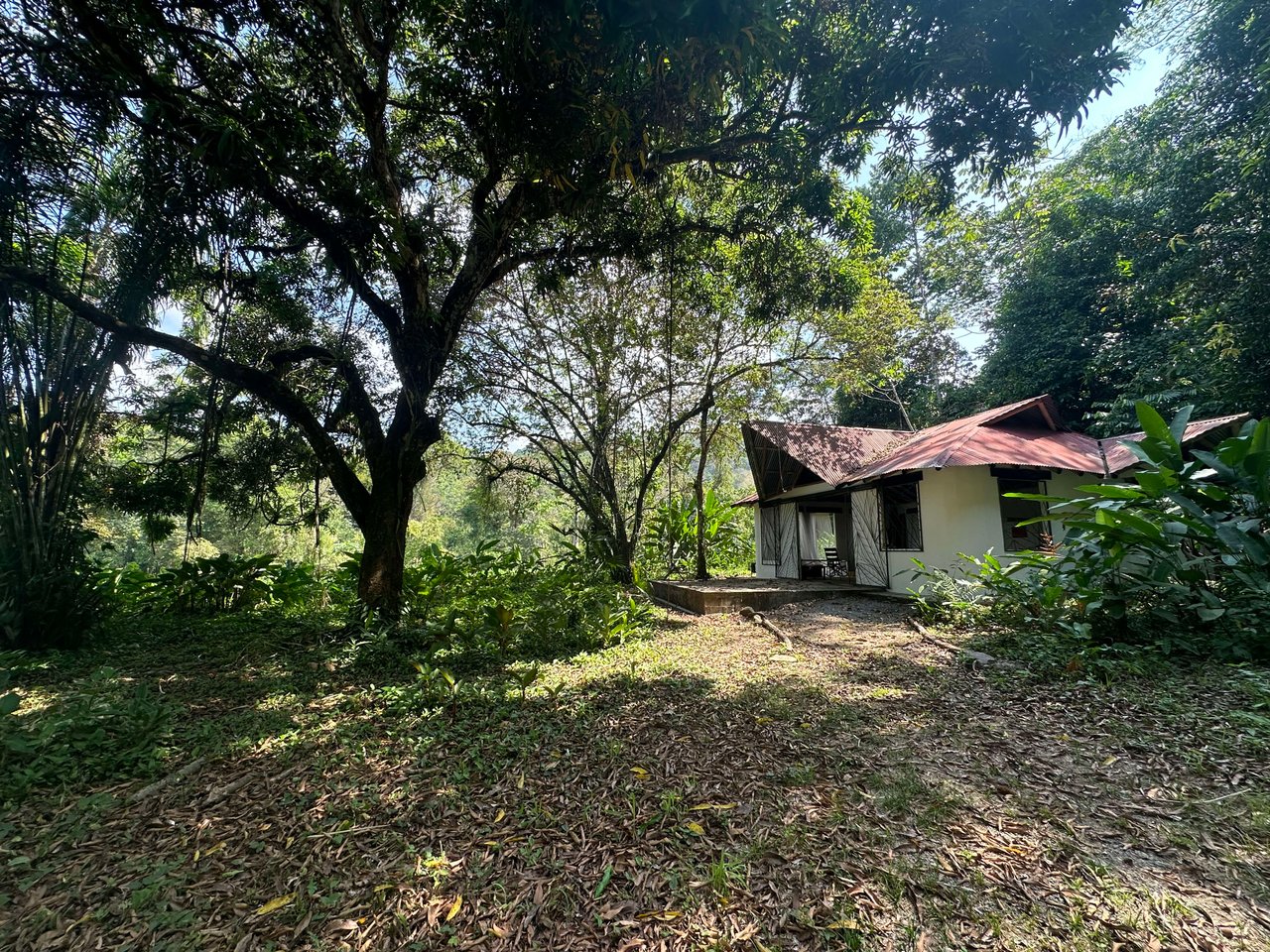 INVESTMENT OPPORTUNITY IN PLATANILLO – YOUR FIXER-UPPER DREAM WALKING DISTANCE TO NAUYACA WATERFALL