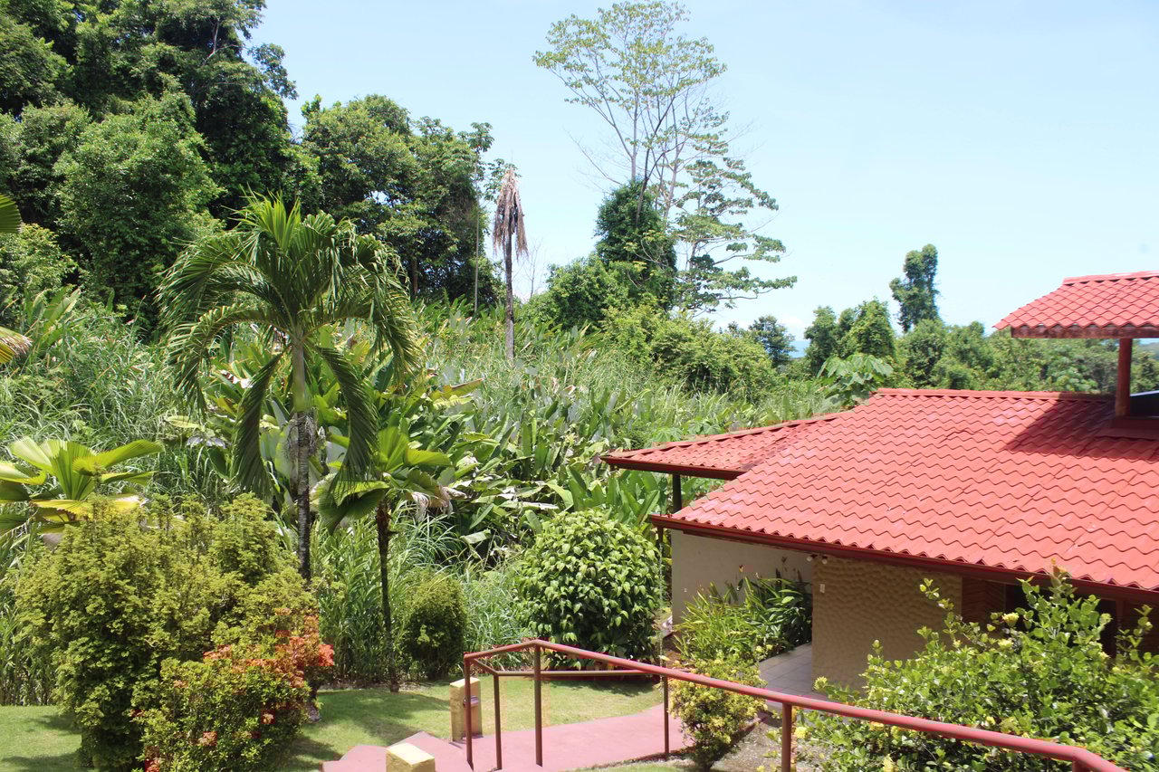 Income Producing Property with Ocean View close to Dominical