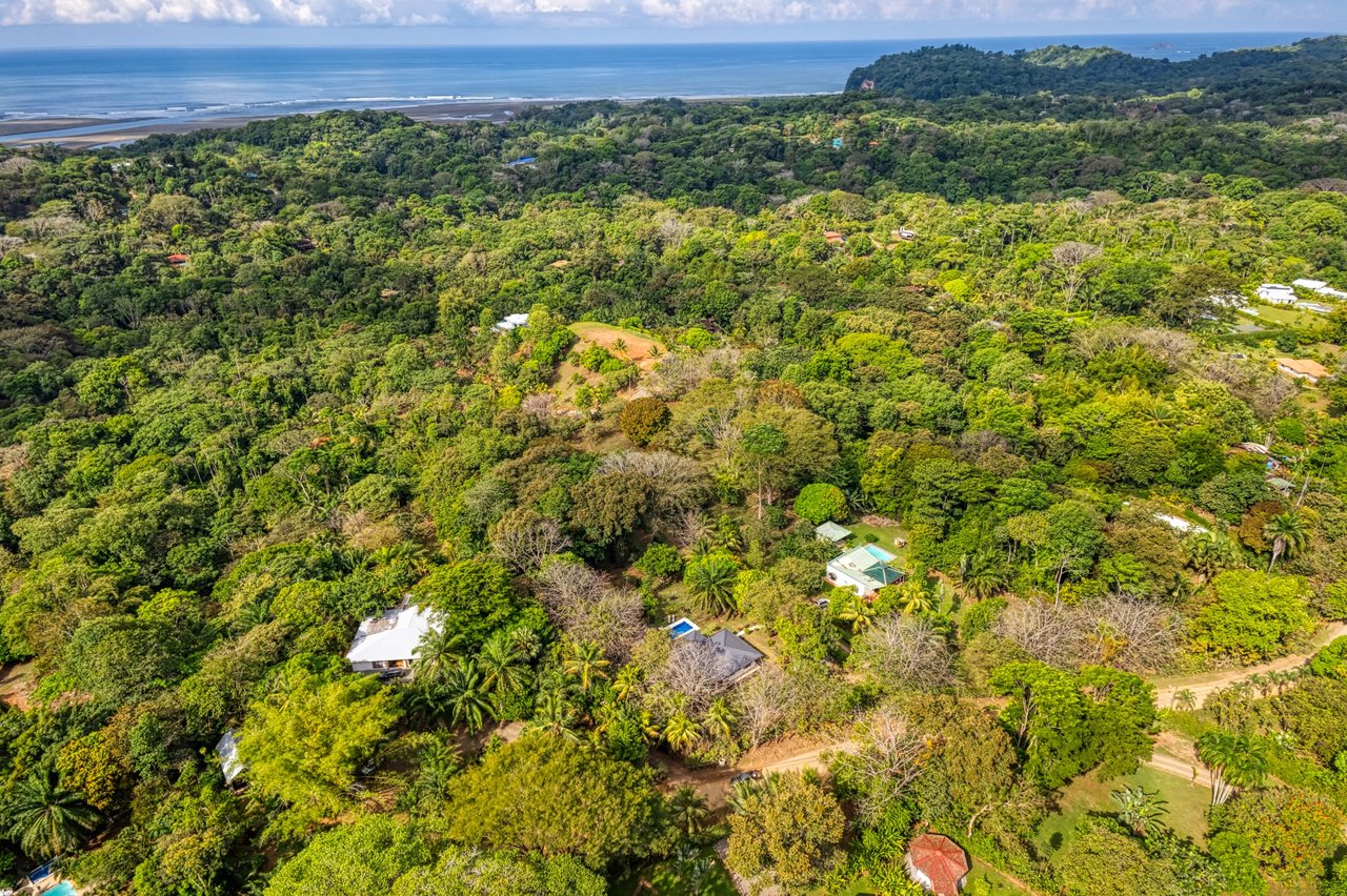 Tranquil Home with Fruit Trees and Space for Several Casitas