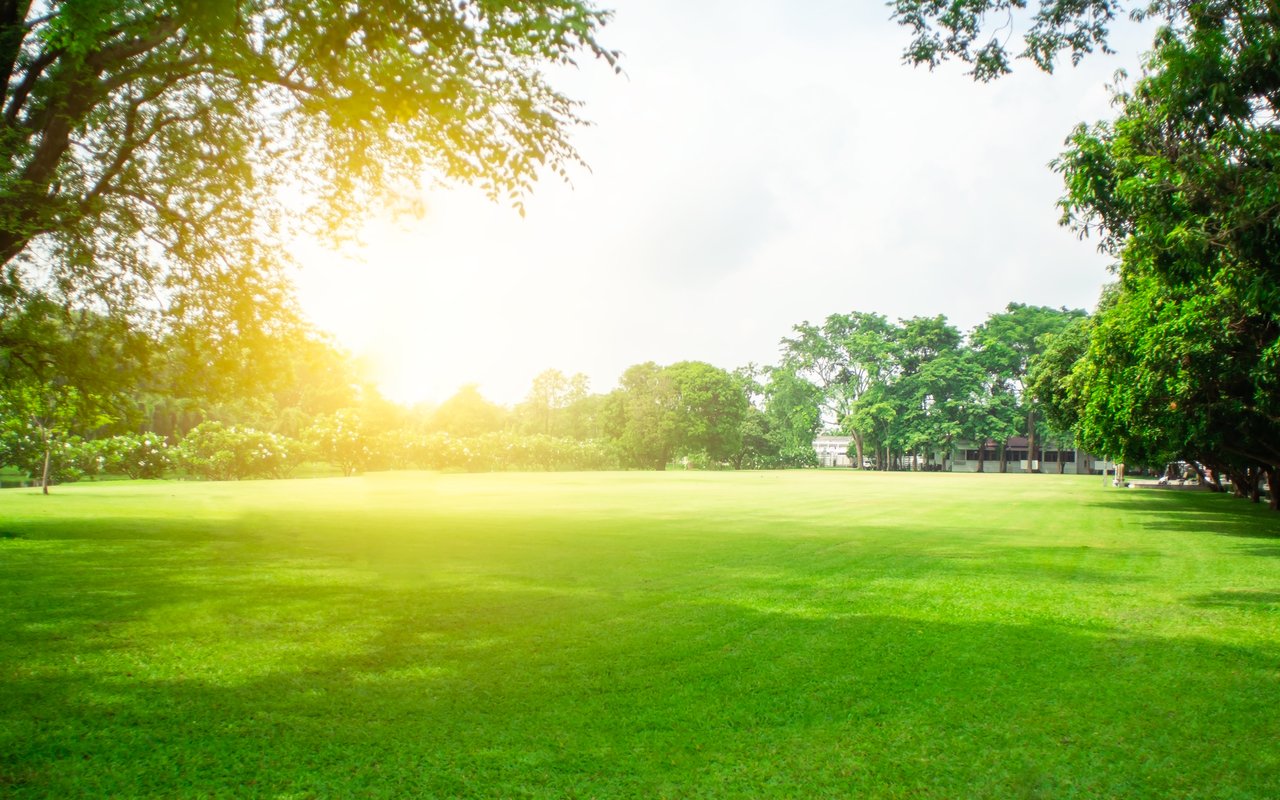 Who Owns the Largest Land in America and In Greenwich, CT?