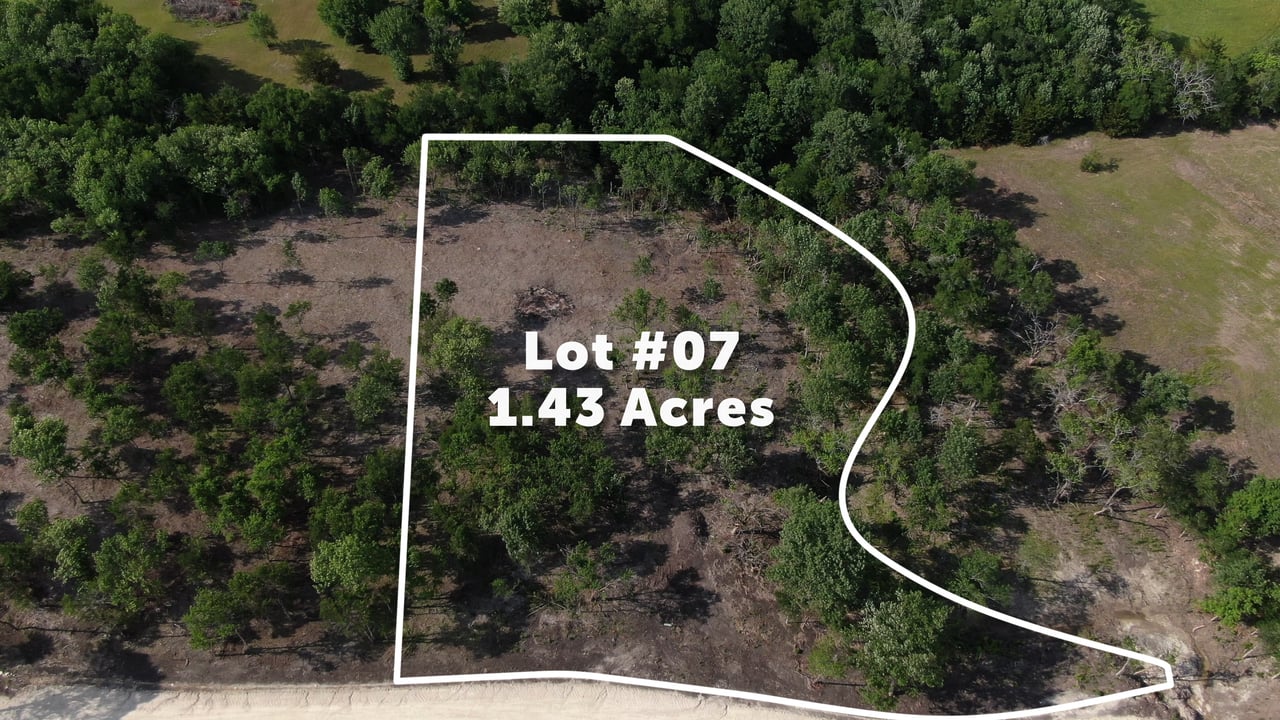 Lot 7