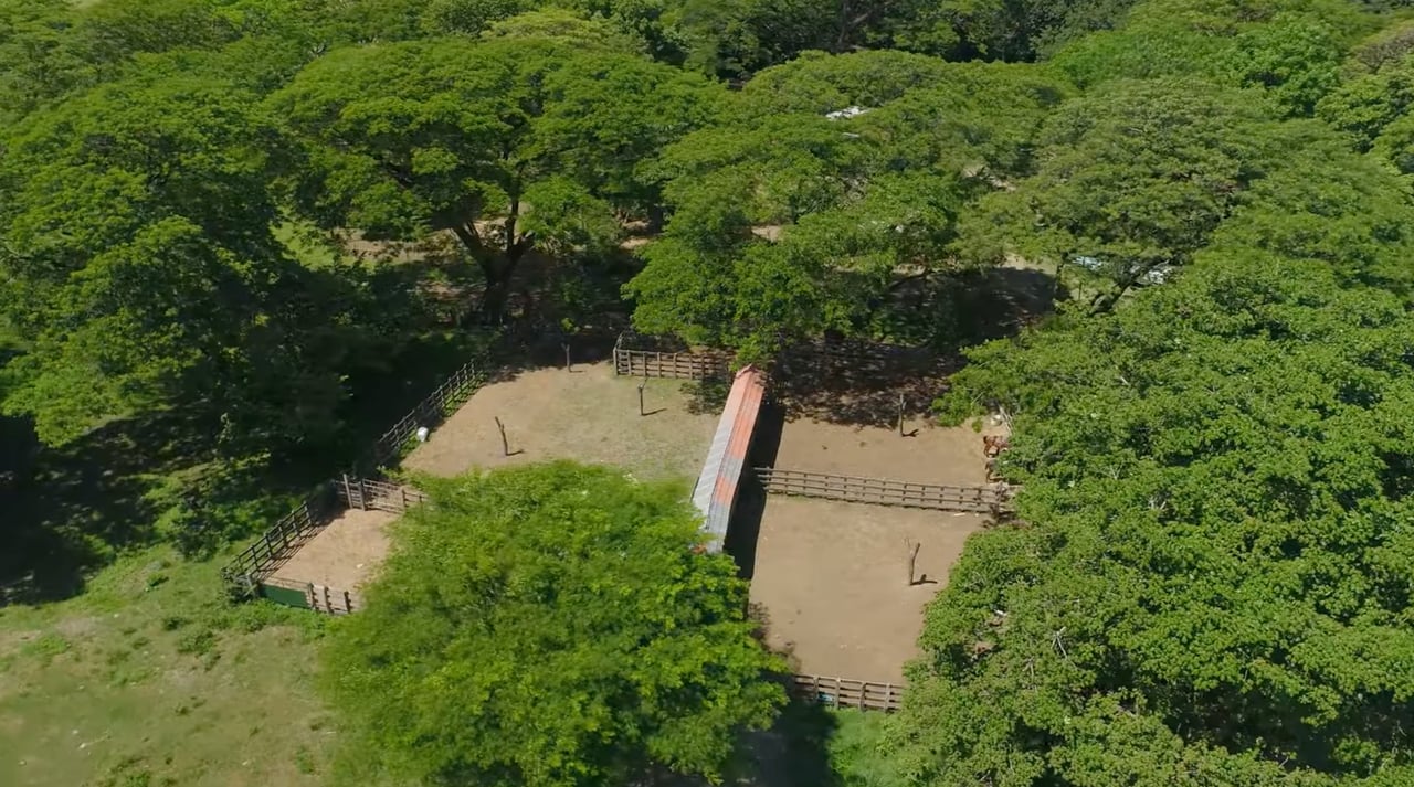 Strategic Cattle Ranch Development, Tamarindo, Guanacaste
