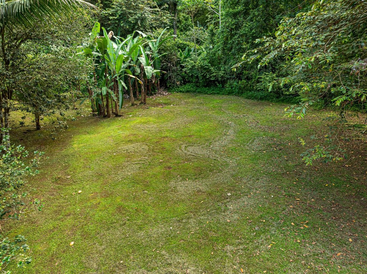 Private Riverfront Jungle Oasis, Ojochal, Puntarenas