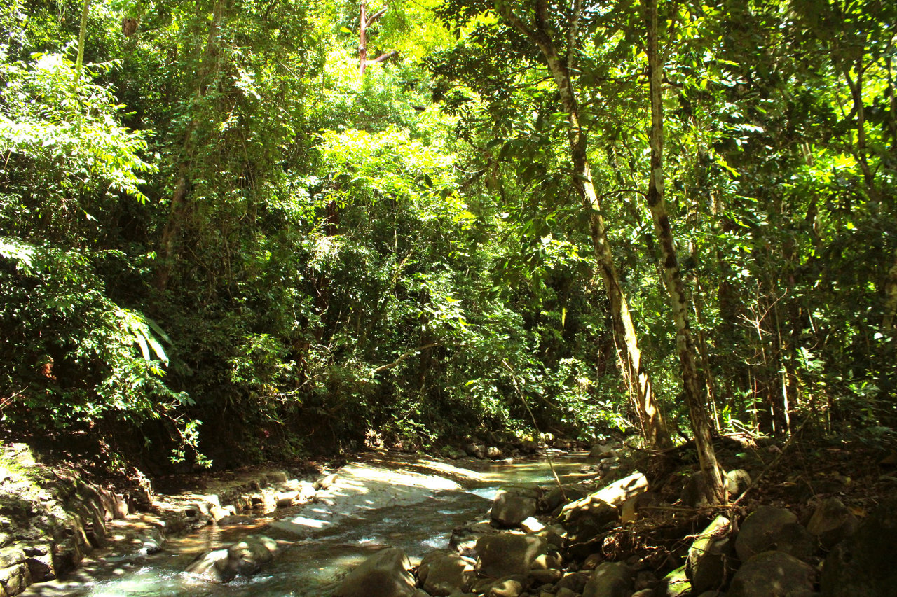 Wildlife Reserve Farm close to Ojochal