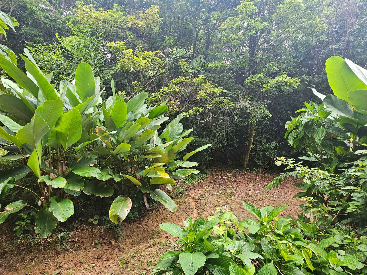 Discover Your Dream in Uvita's Prime Real Estate