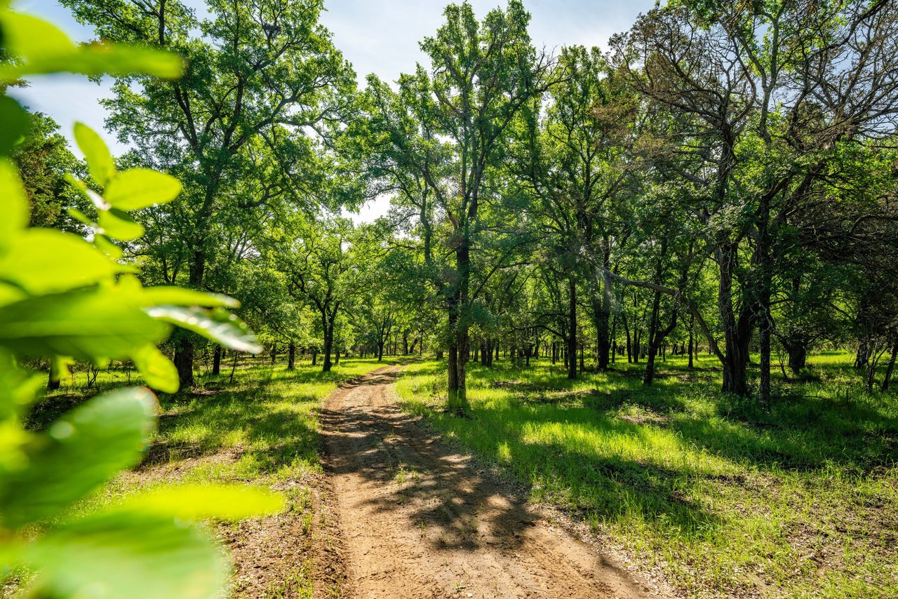 Cuatro Colinas Ranch