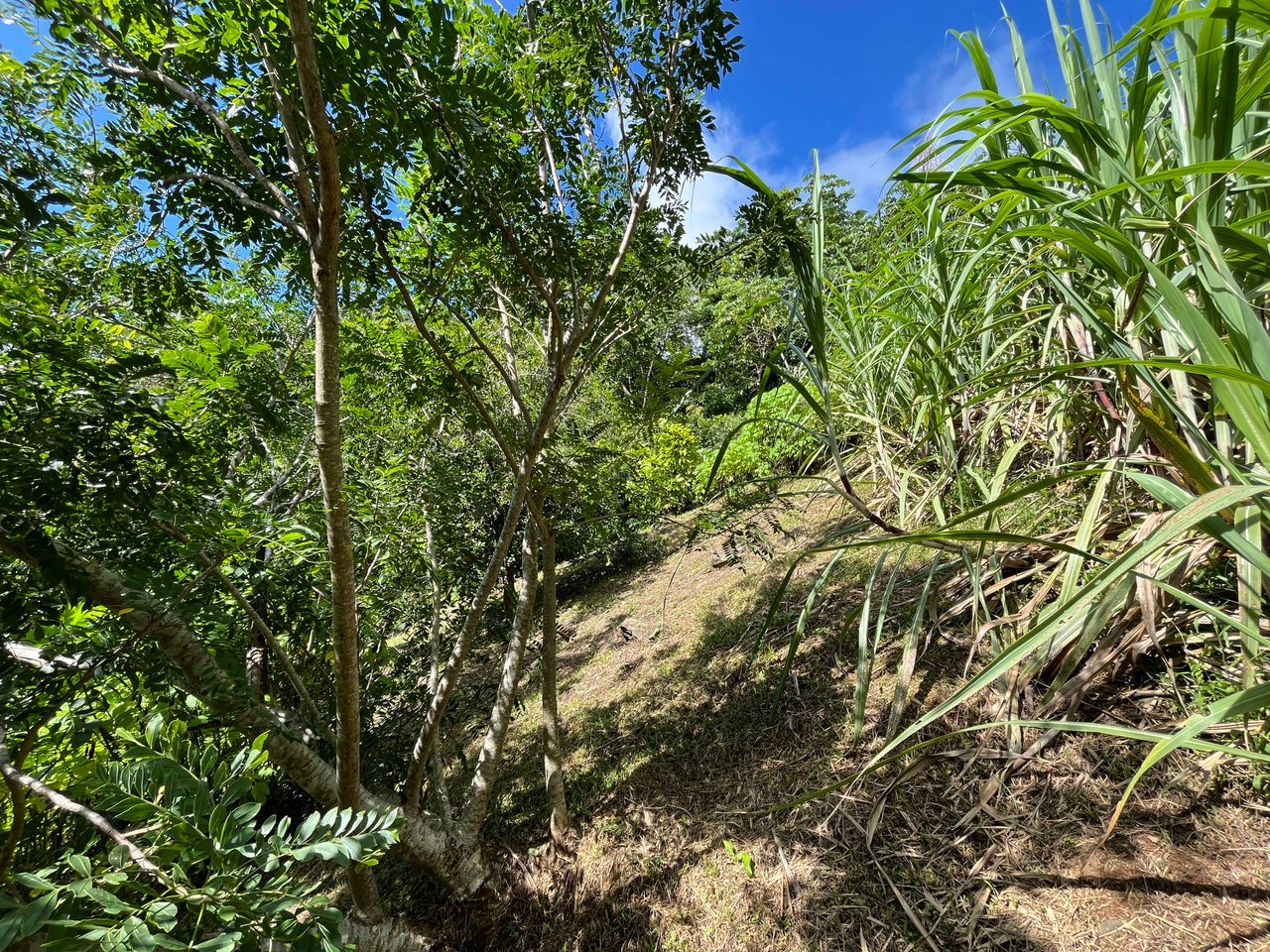 Costa Azul 120-degree Mountain View House With Costarican Wooden House as Lagniappe.