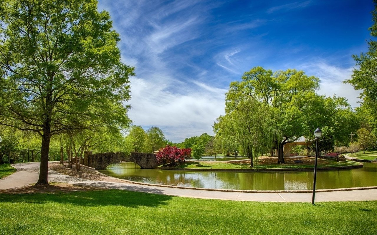 Tranquil park with a rustic bridge over a calm lake flanked by diverse trees and distant buildings.