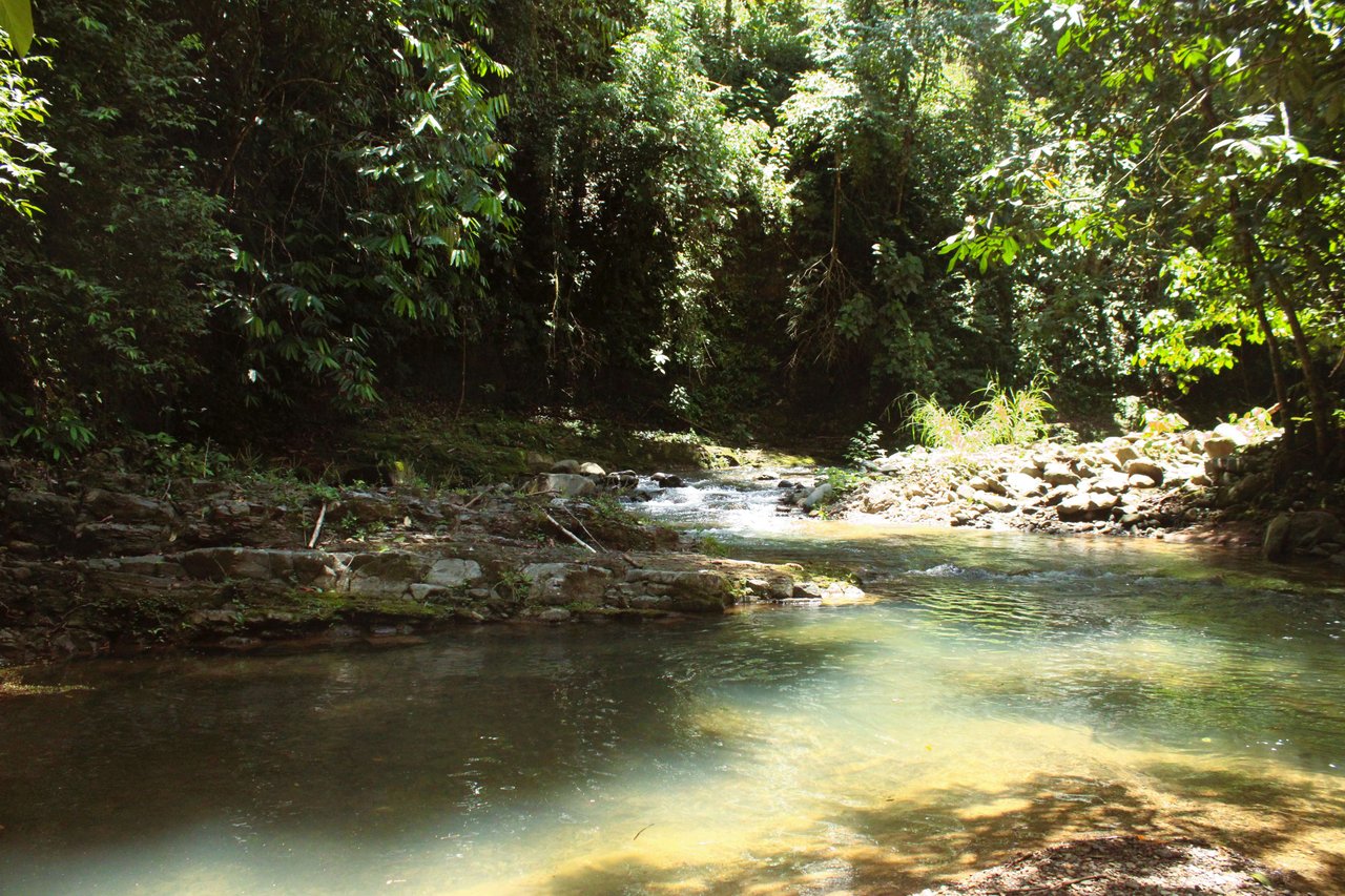 Wildlife Reserve Farm close to Ojochal