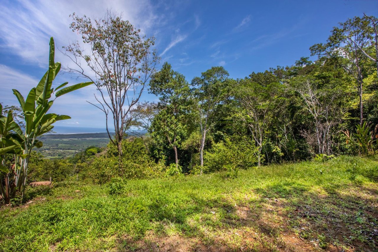 Incredible 7,000 Ft2 Ocean View Home With 200 Acre Reserve!