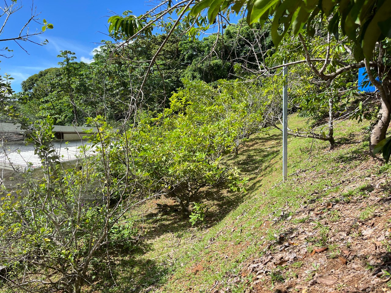 Costa Azul 120-degree Mountain View House With Costarican Wooden House as Lagniappe.