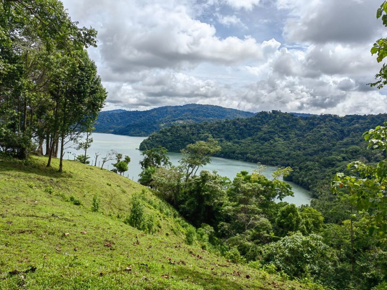 Coastal Development Land, Osa, Puntarenas