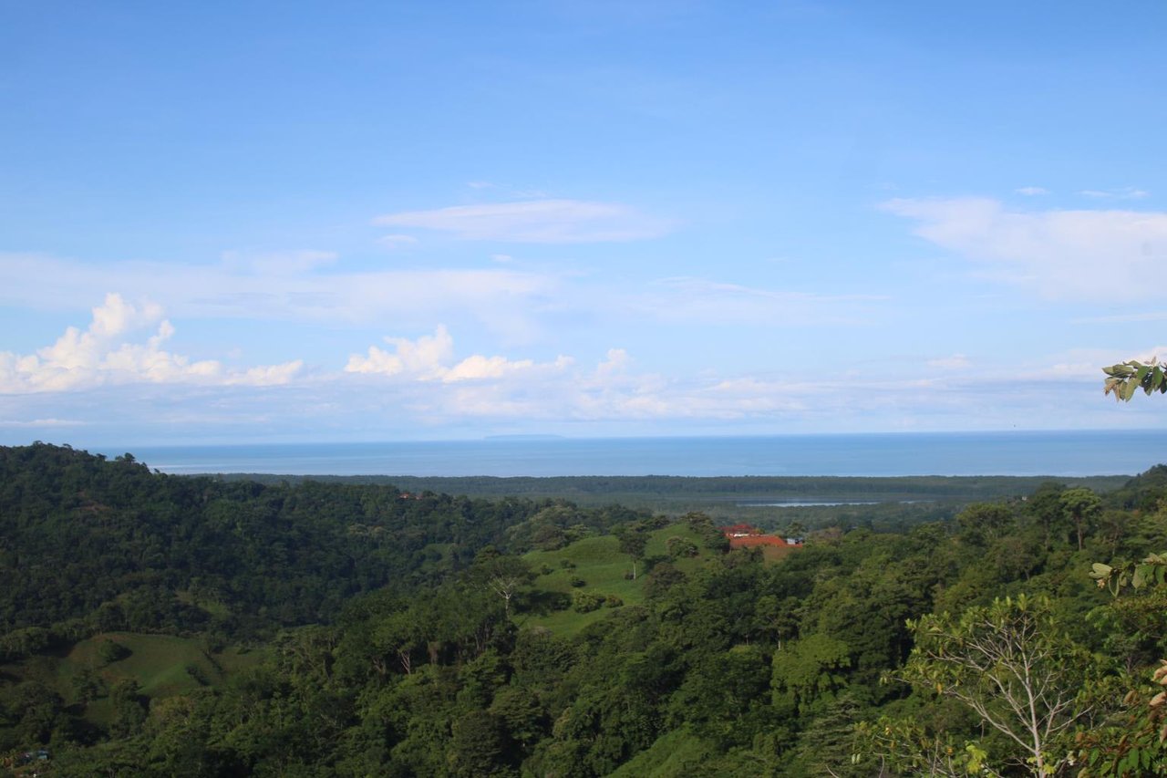 Developer's Dream Parcel With Panoramic Ocean View