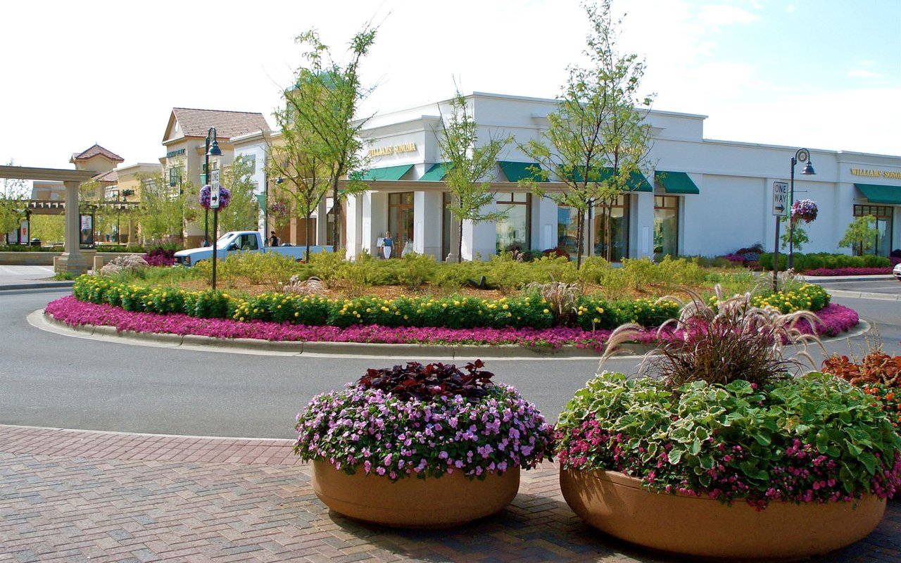 Maple Grove