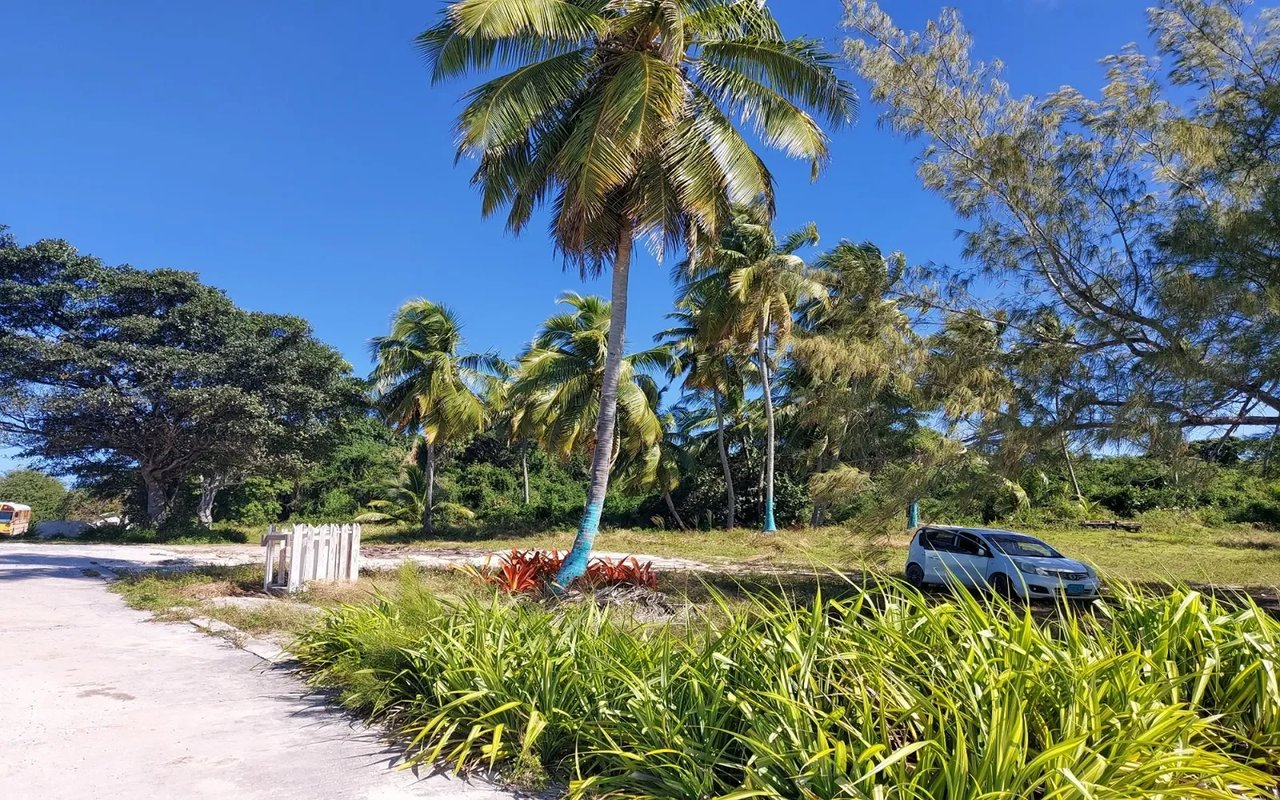 Beach in South Palmetto Point