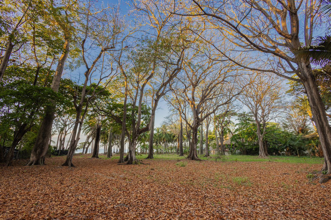 Prime Beachfront Concession Land, Santa Teresa, Puntarenas