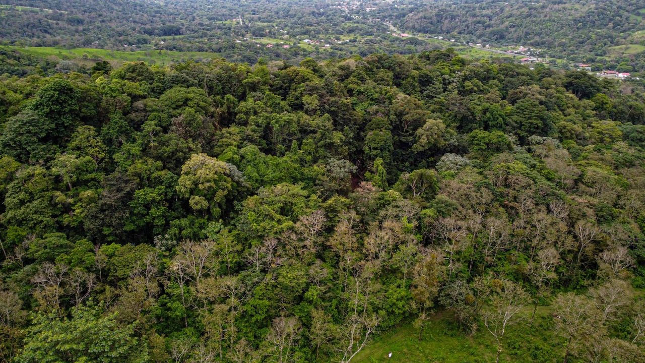 Bosque Bijagua | Prime Forest Land for Sale Near Bijagua, Costa Rica!