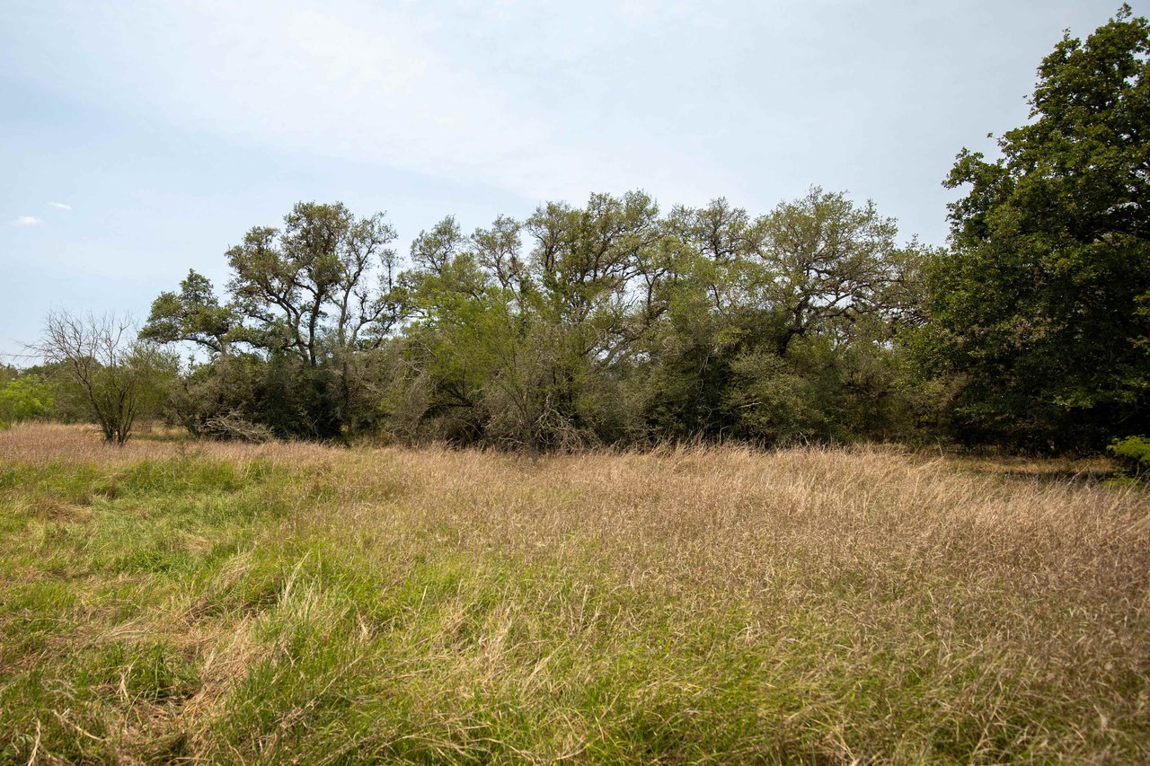 Green DeWitt Rd | 40.82± Acres | DeWitt County