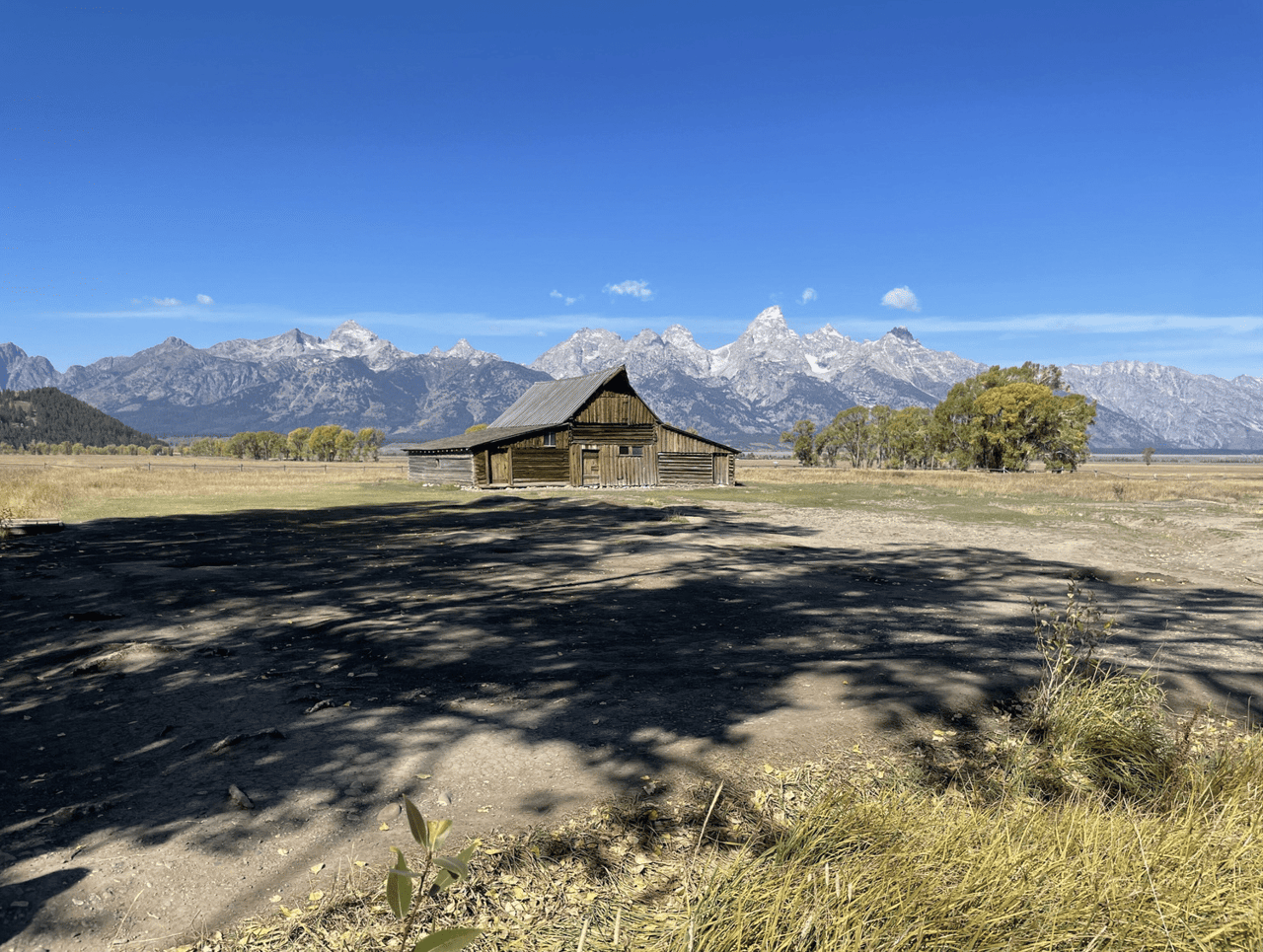 SUmmer Image of Moulton Barn in Moose wyoming