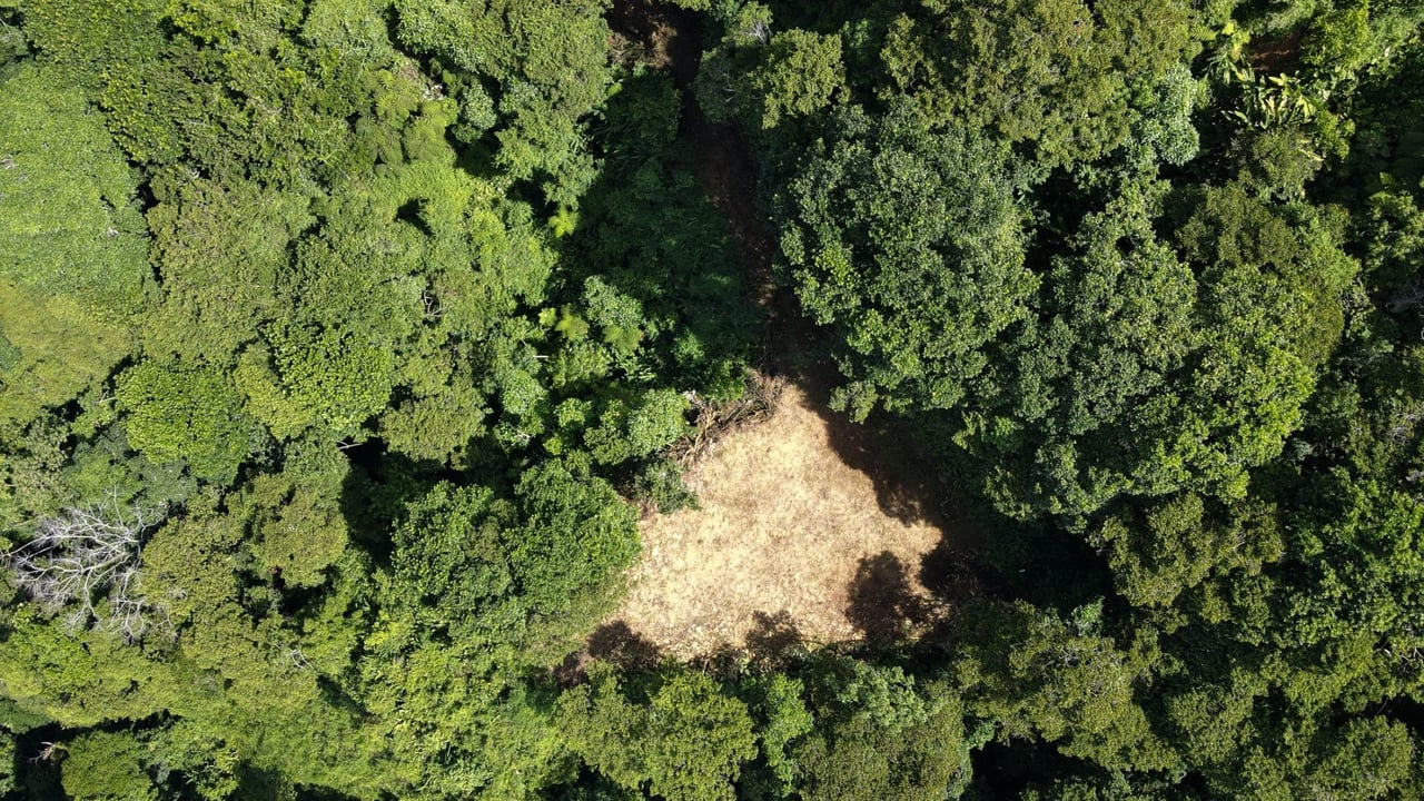 Panoramic Ocean View Lot, Dominical, Puntarenas