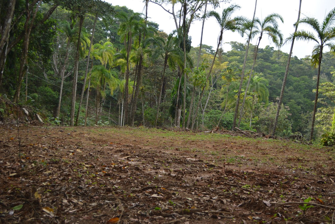 Lagunas 5 Lots 1 Acre+ Lagunas/Dominical