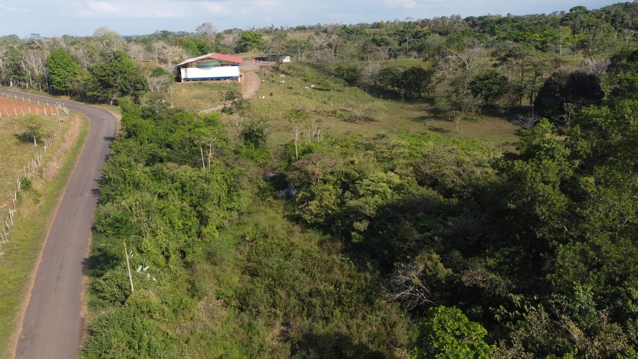 Katira Serenity | Farm with Direct Access to small Lake and Rainforest!