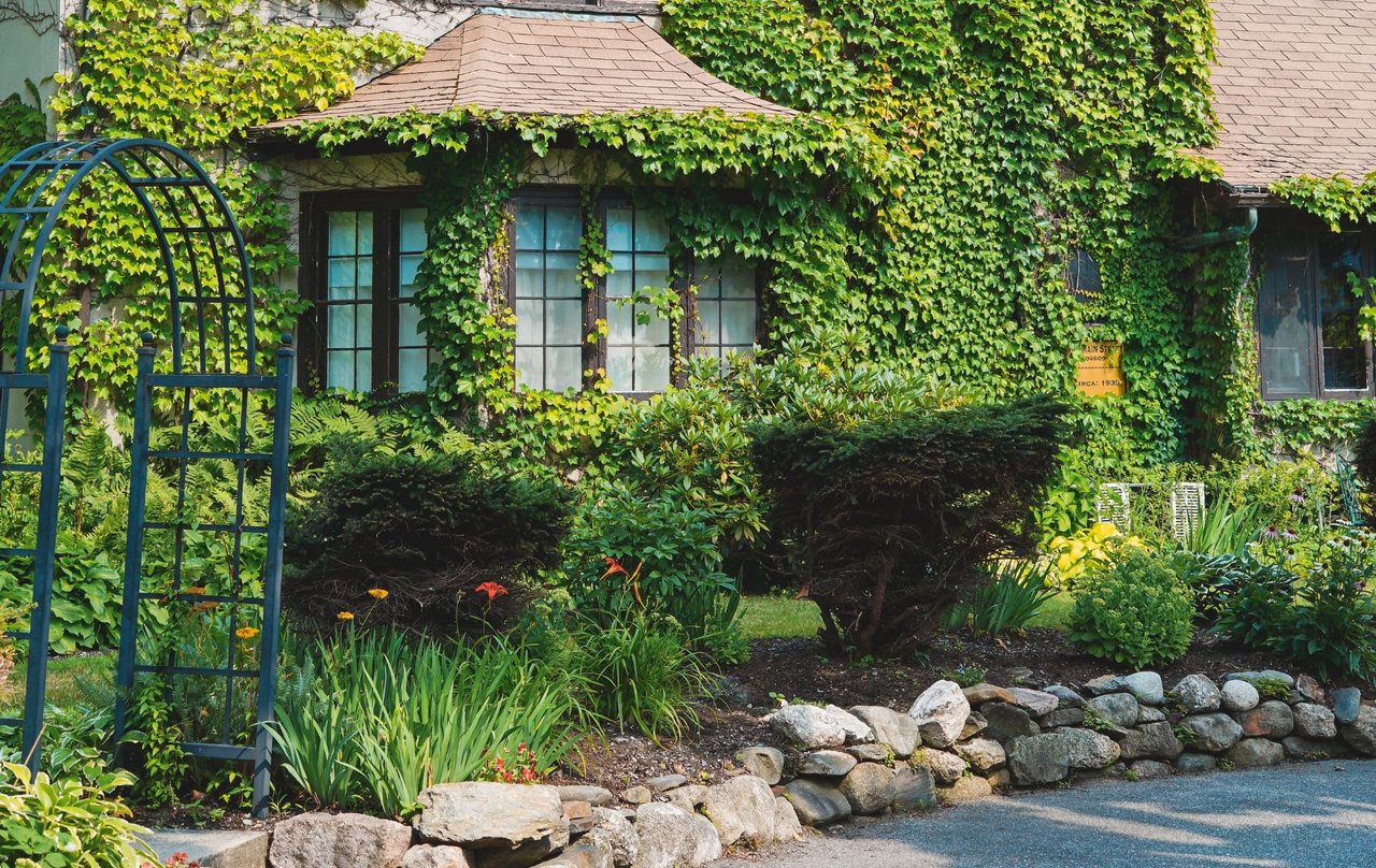  A lush, close-up shot captures a portion of a house with its walls almost entirely covered in vibrant green ivy.