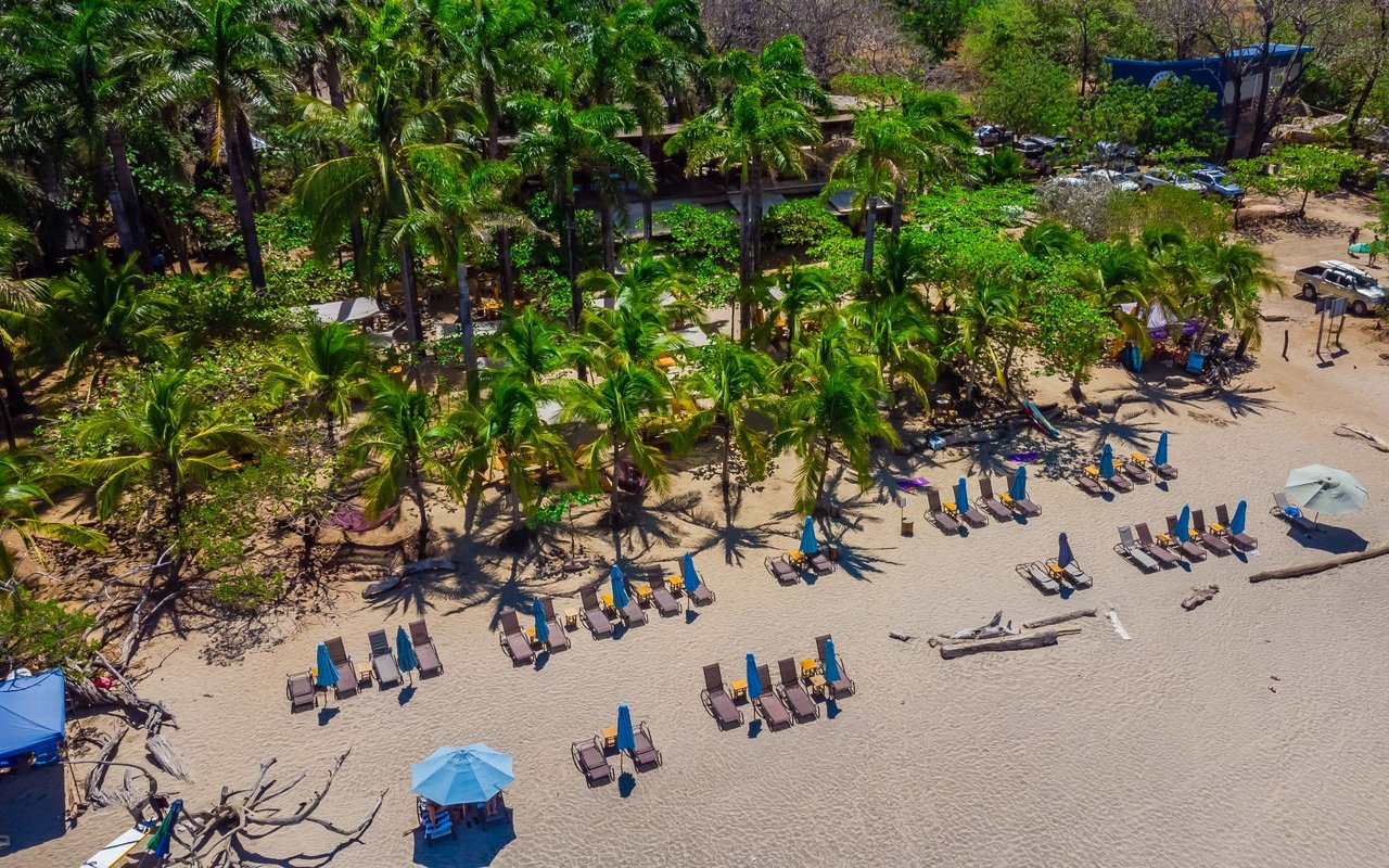 Playa Avellanas