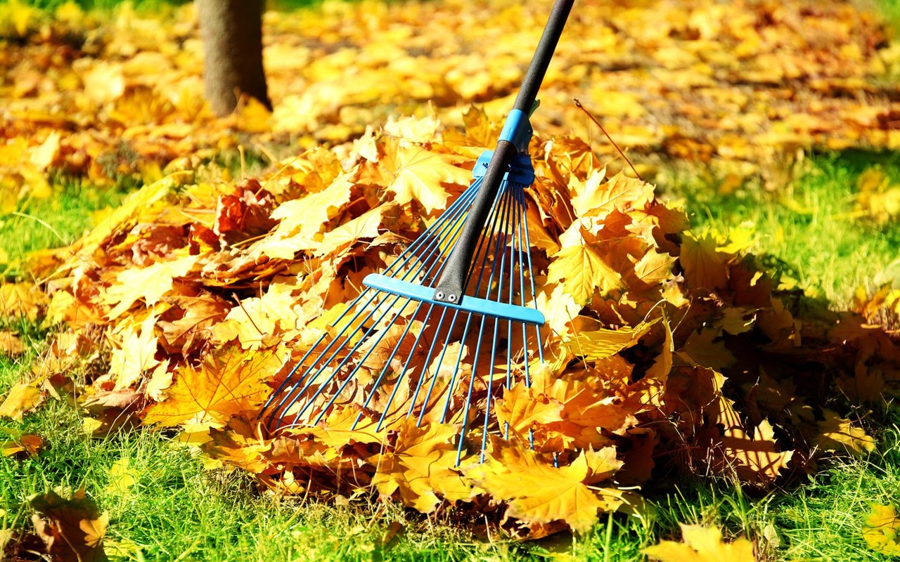 5 Ways to Boost Your Curb Appeal for the Fall Selling Season