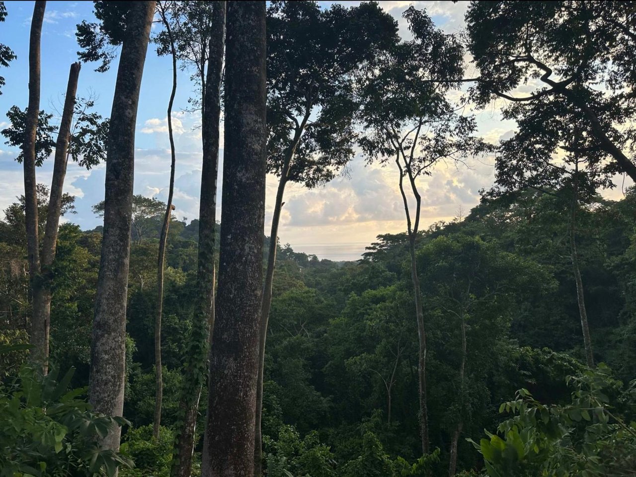 Ocean View Gated Development Lot, Dominical, Puntarenas