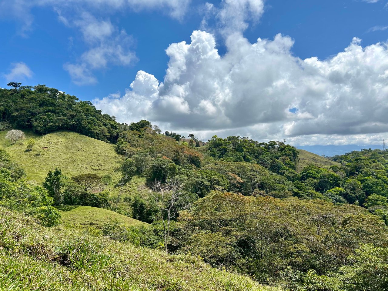 Hidden Gem: Serene Farm Retreat with Majestic Views in Costa Rica