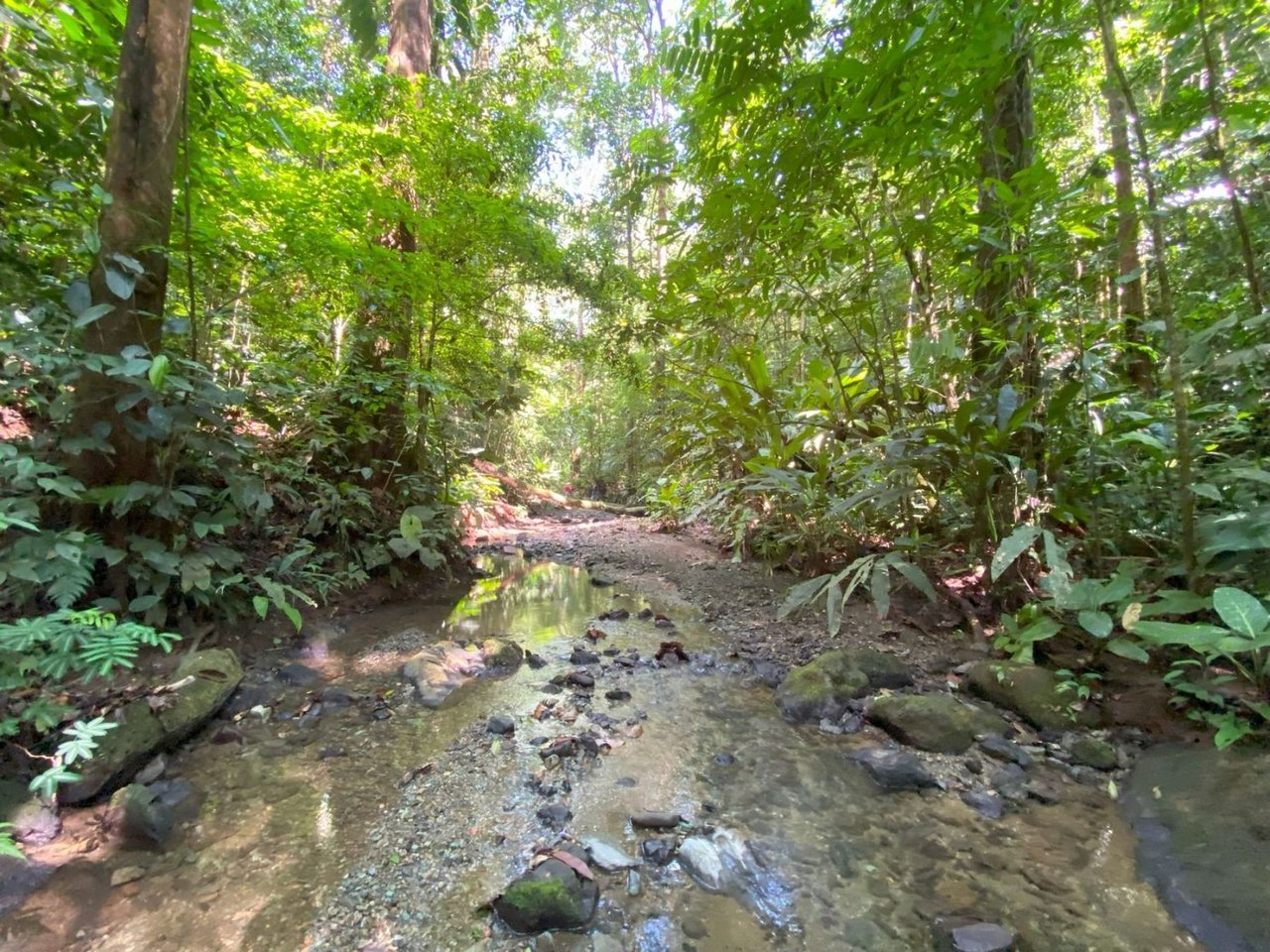 Mountain River View Farm, Osa, Puntarenas