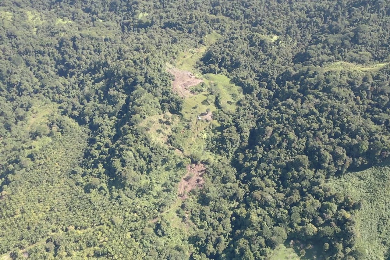 90 acre Farm, Inexpensive with lots of potential close to Rio Claro
