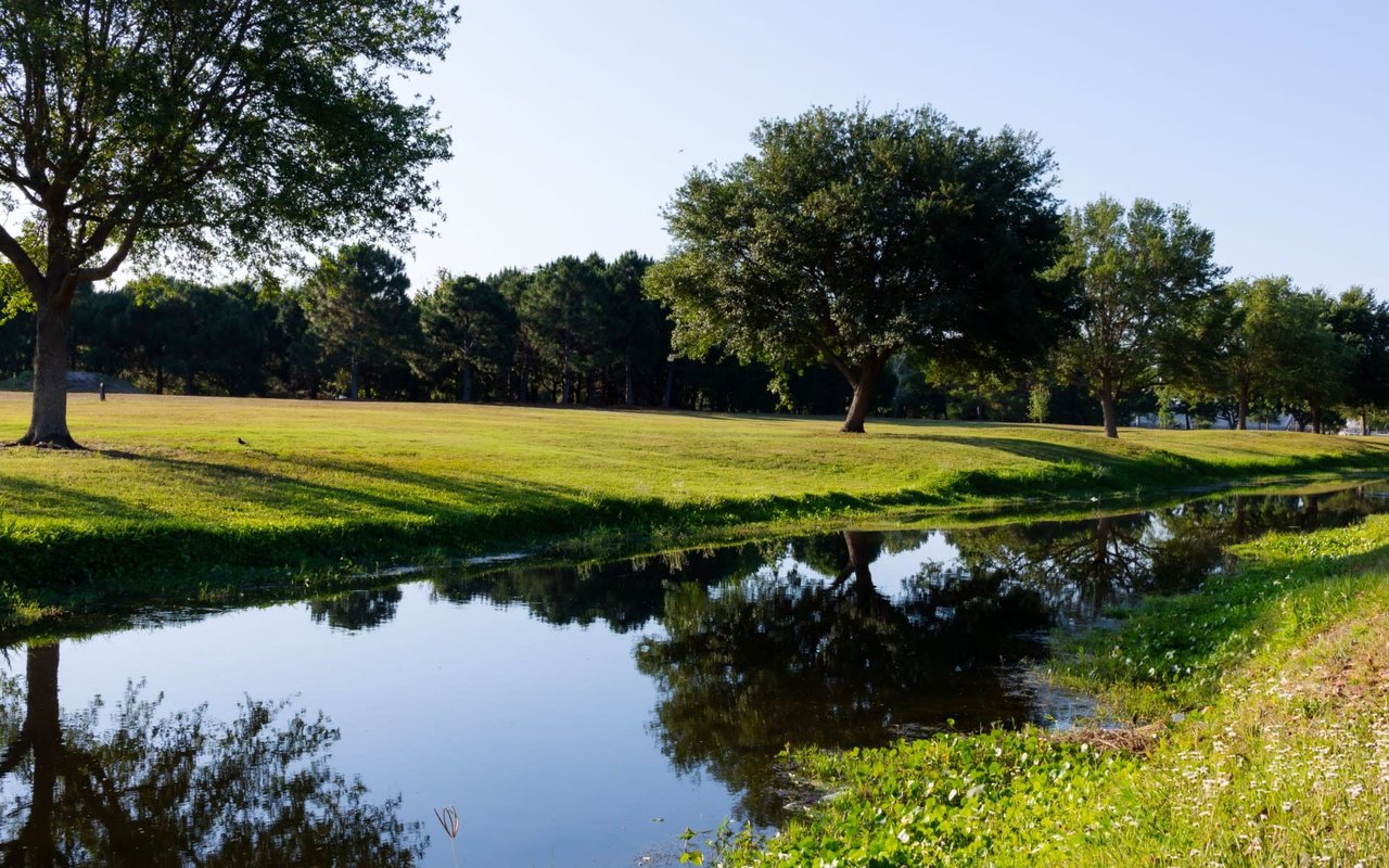South Tampa