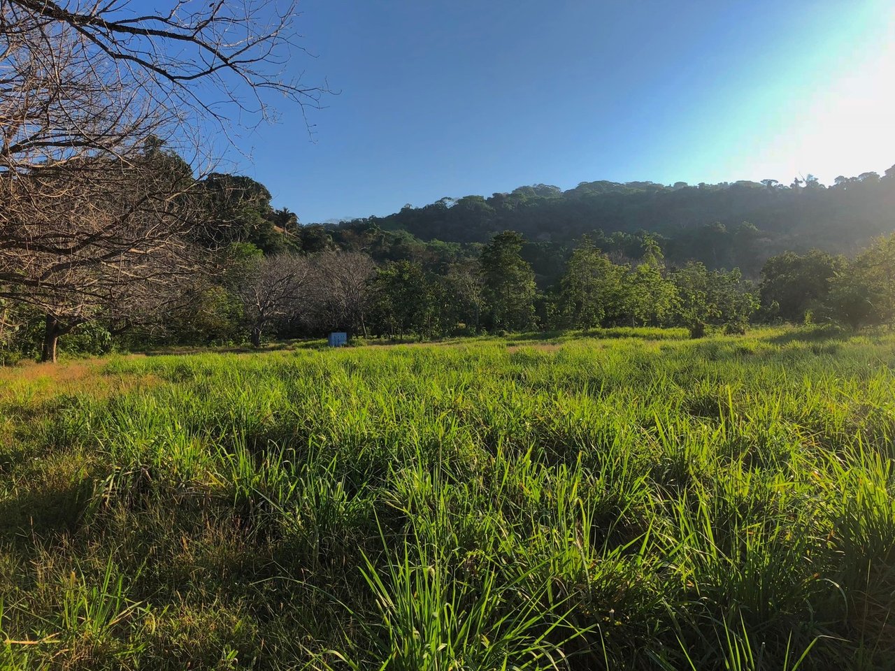 Coastal Development Land, Dominical, Puntarenas