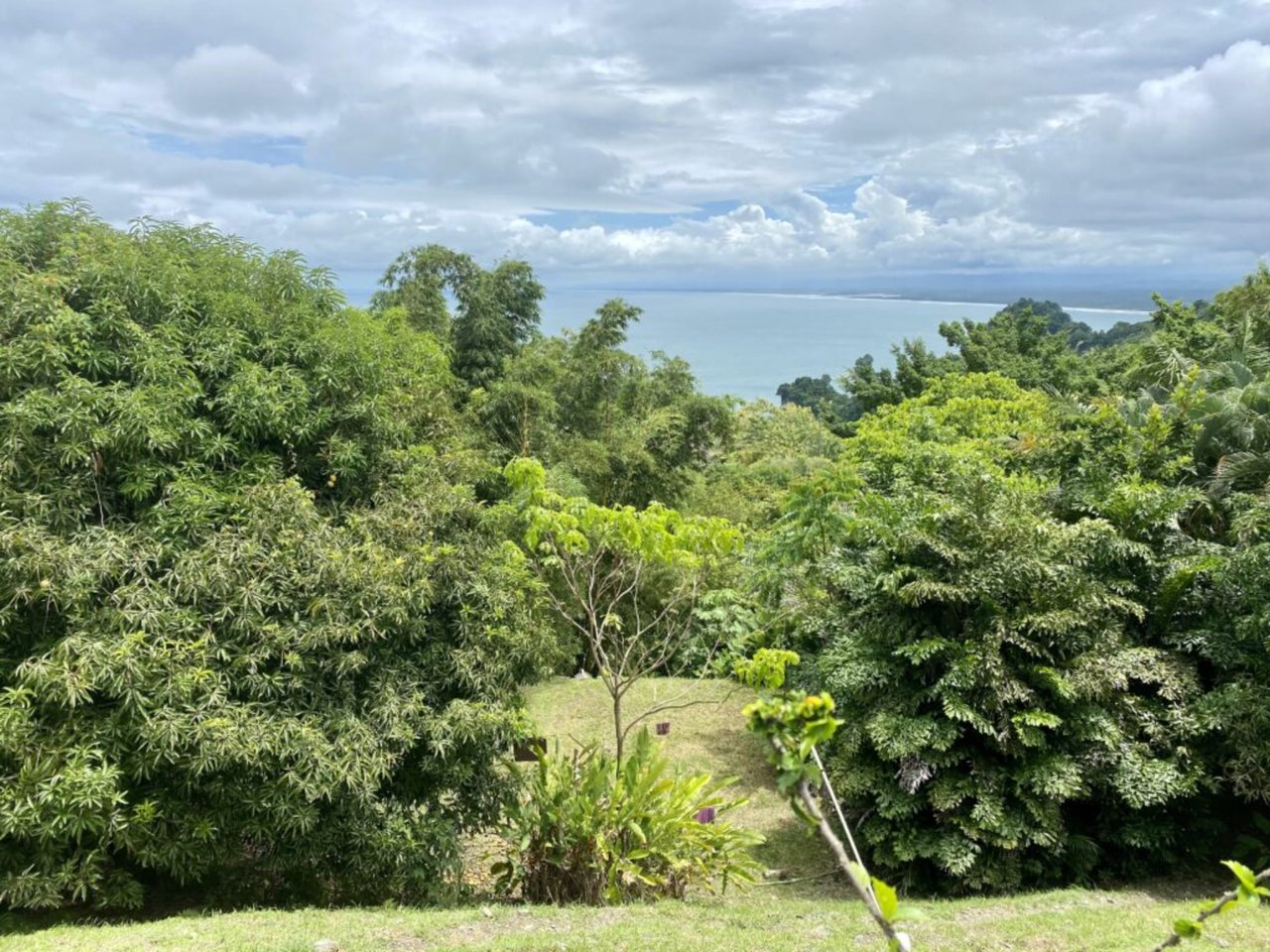 Prime Development Homesite, Manuel Antonio, Puntarenas