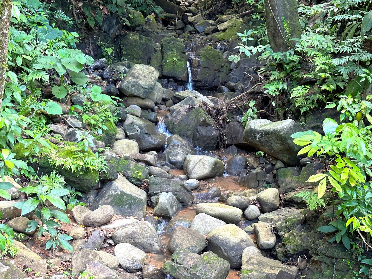 5.77 Acres With 4 Building Sites. Ocean Views, Rivers And Rainforest Abound In Cinco Ventanas! Ojochal 