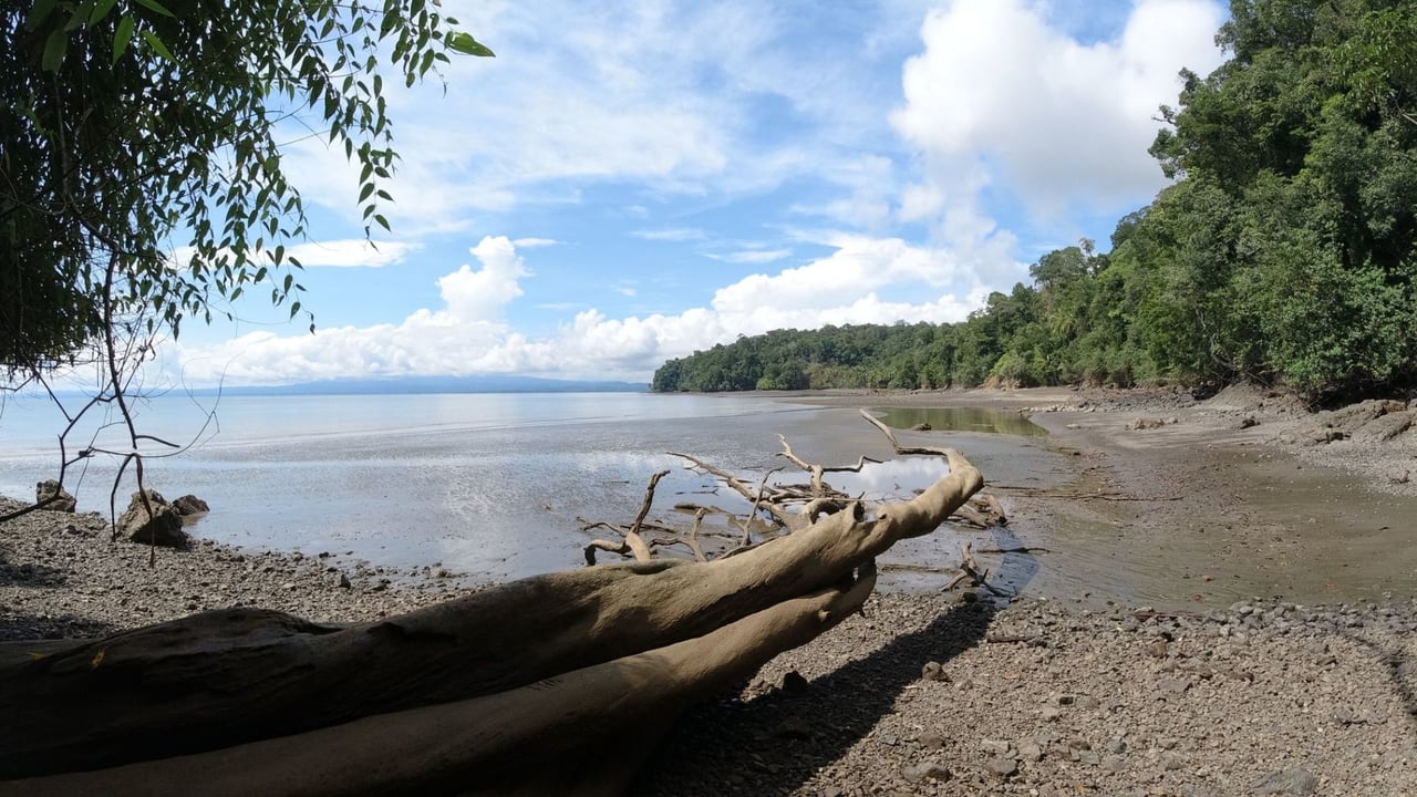 Secluded Rainforest Beachfront Estate, Osa, Puntarenas