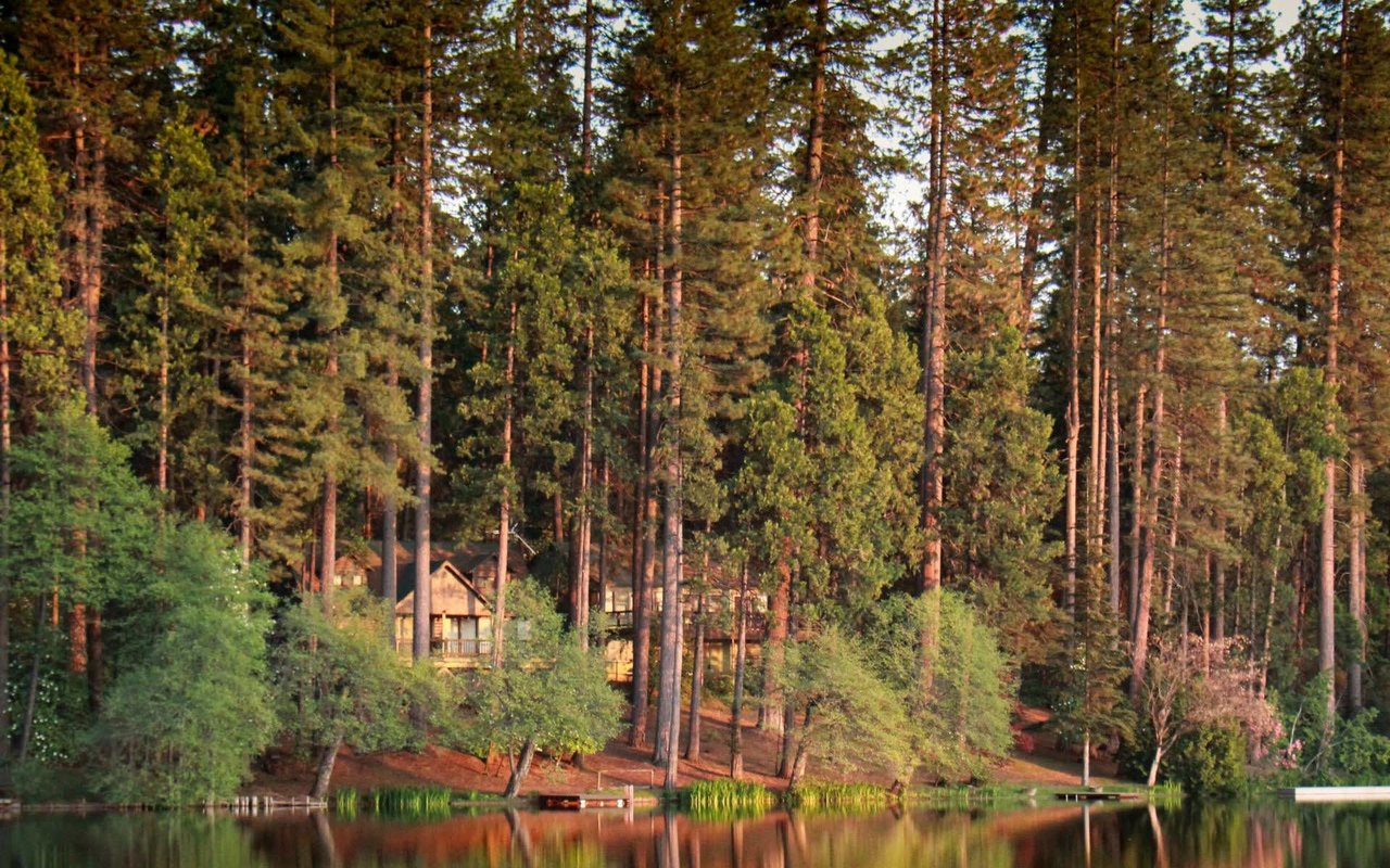 Honest Pros and Cons of Living in Twain Hart