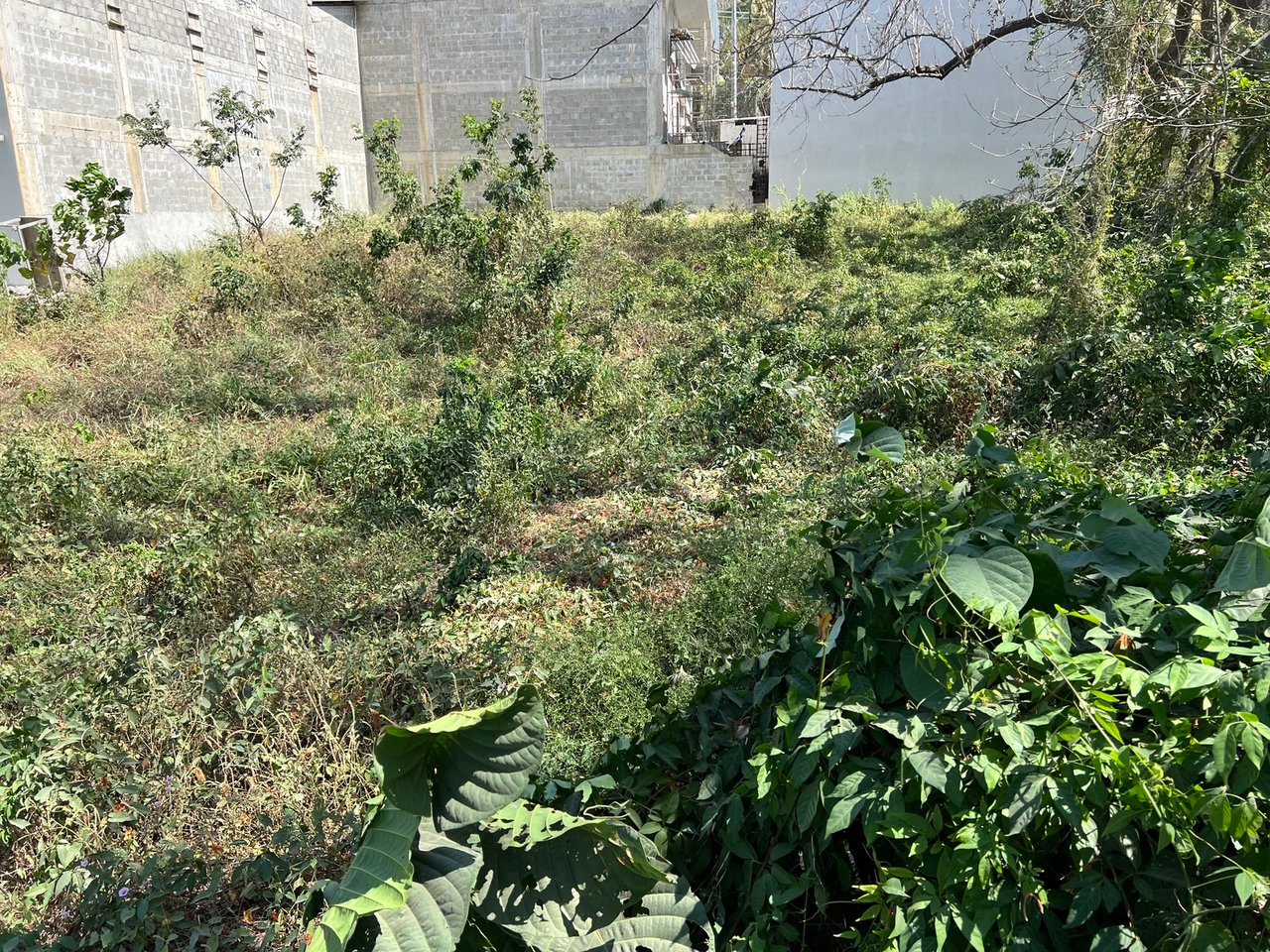 Prime Versatile Development Lot, Santa Teresa, Puntarenas