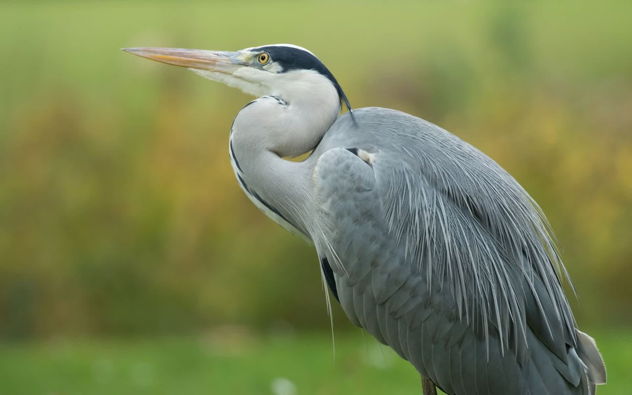 A Guide to Bald Head Island Parks