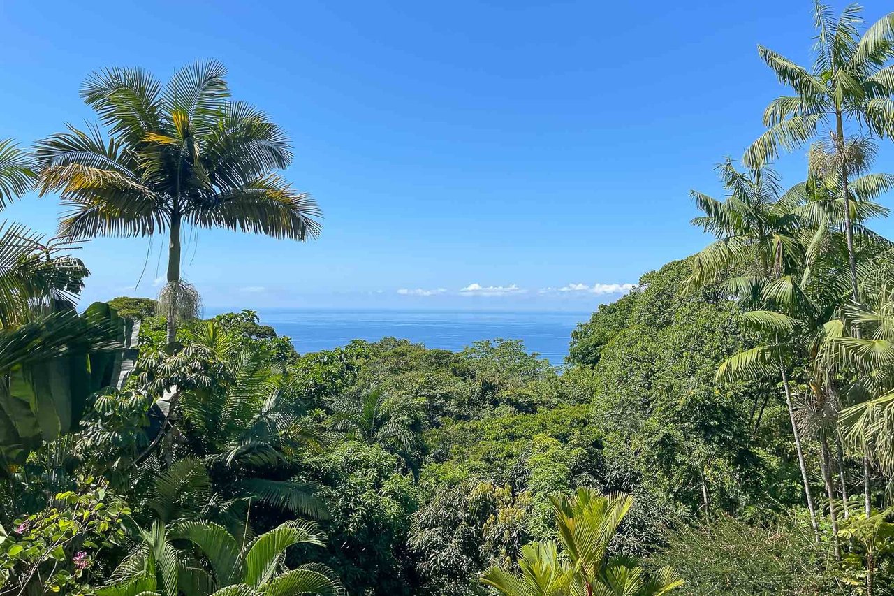 Lush Garden Multi Home Estate, Dominical, Puntarenas