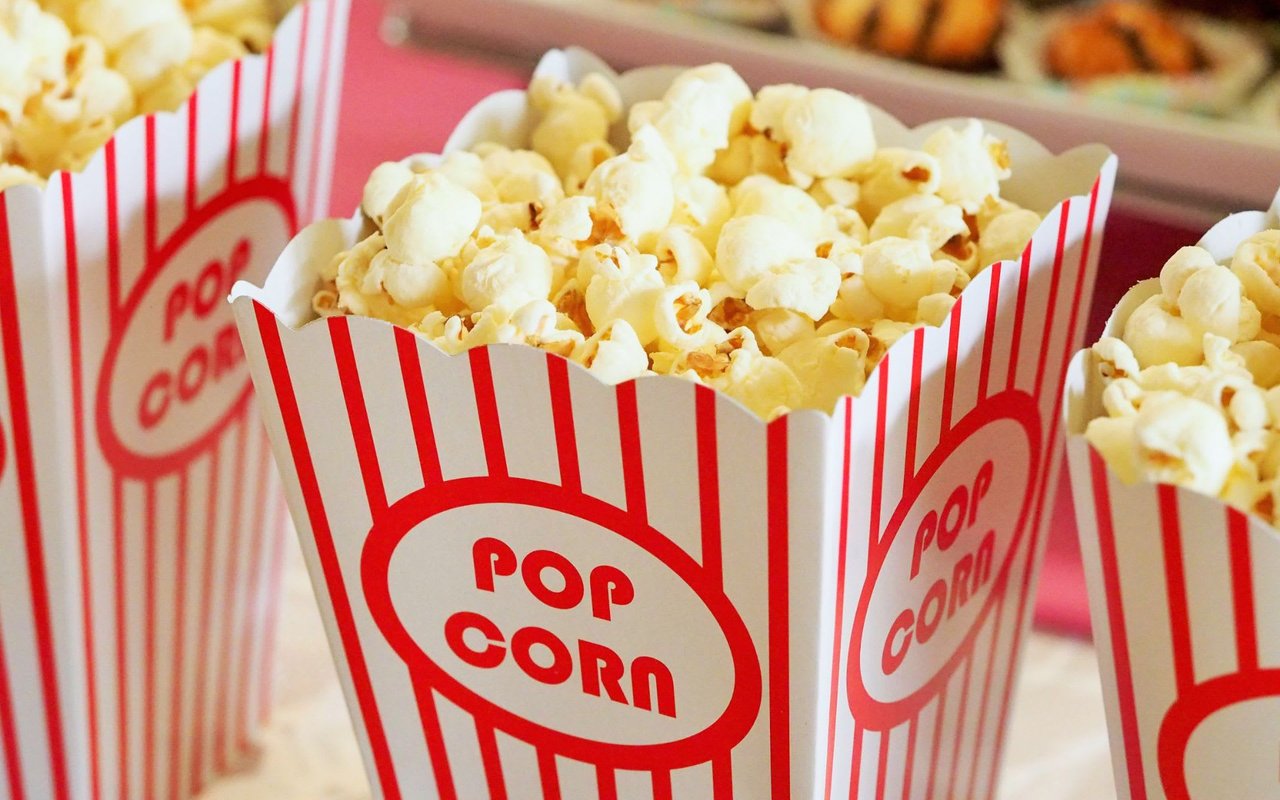 Family Movie Night: Secret Life of Pets