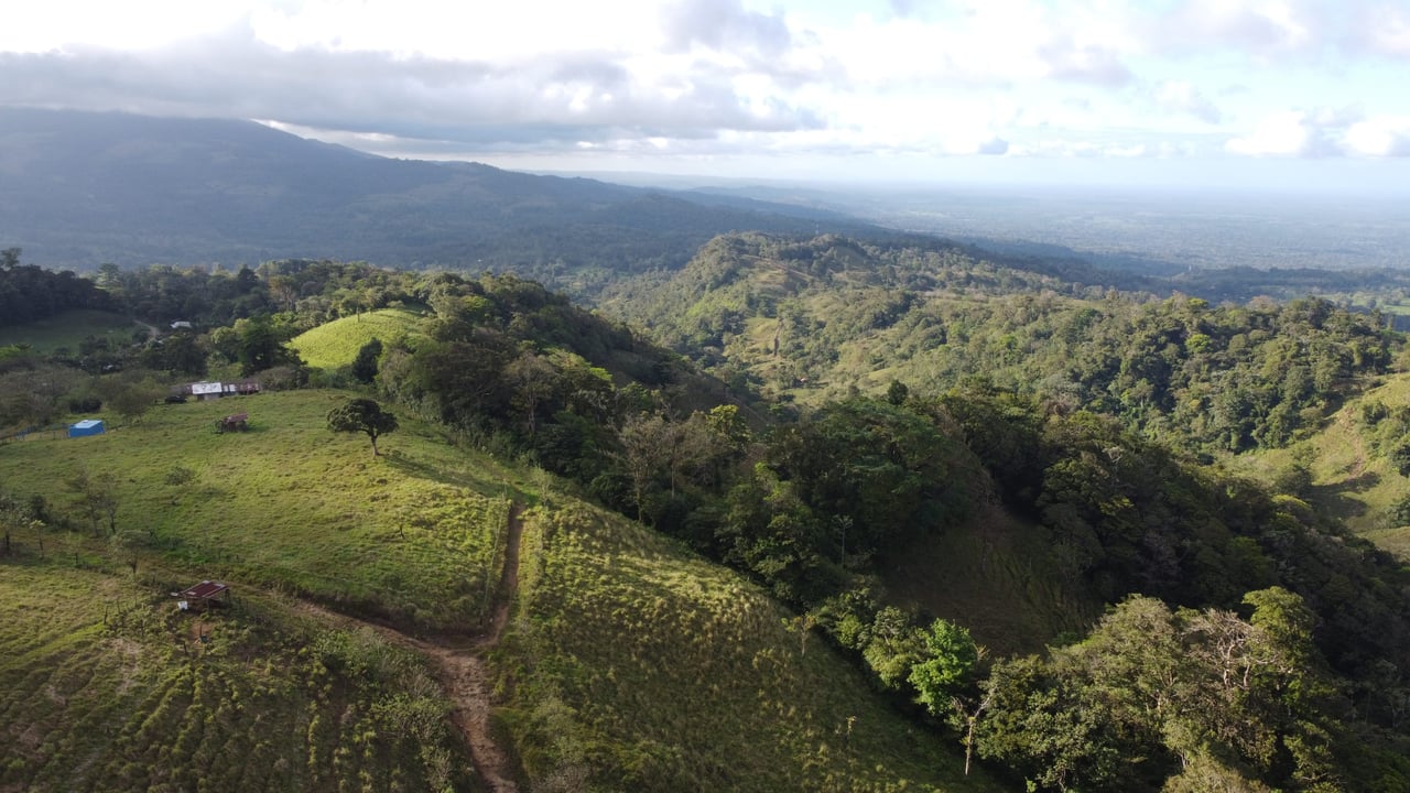 Colina del Tapir | Experience breathtaking views of Lake Nicaragua, with the majestic Concepcion Volcano against the backdrop of Ometepe Island!