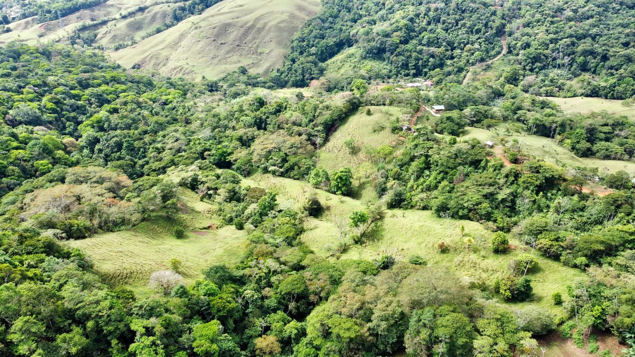 Hidden Gem: Serene Farm Retreat with Majestic Views in Costa Rica