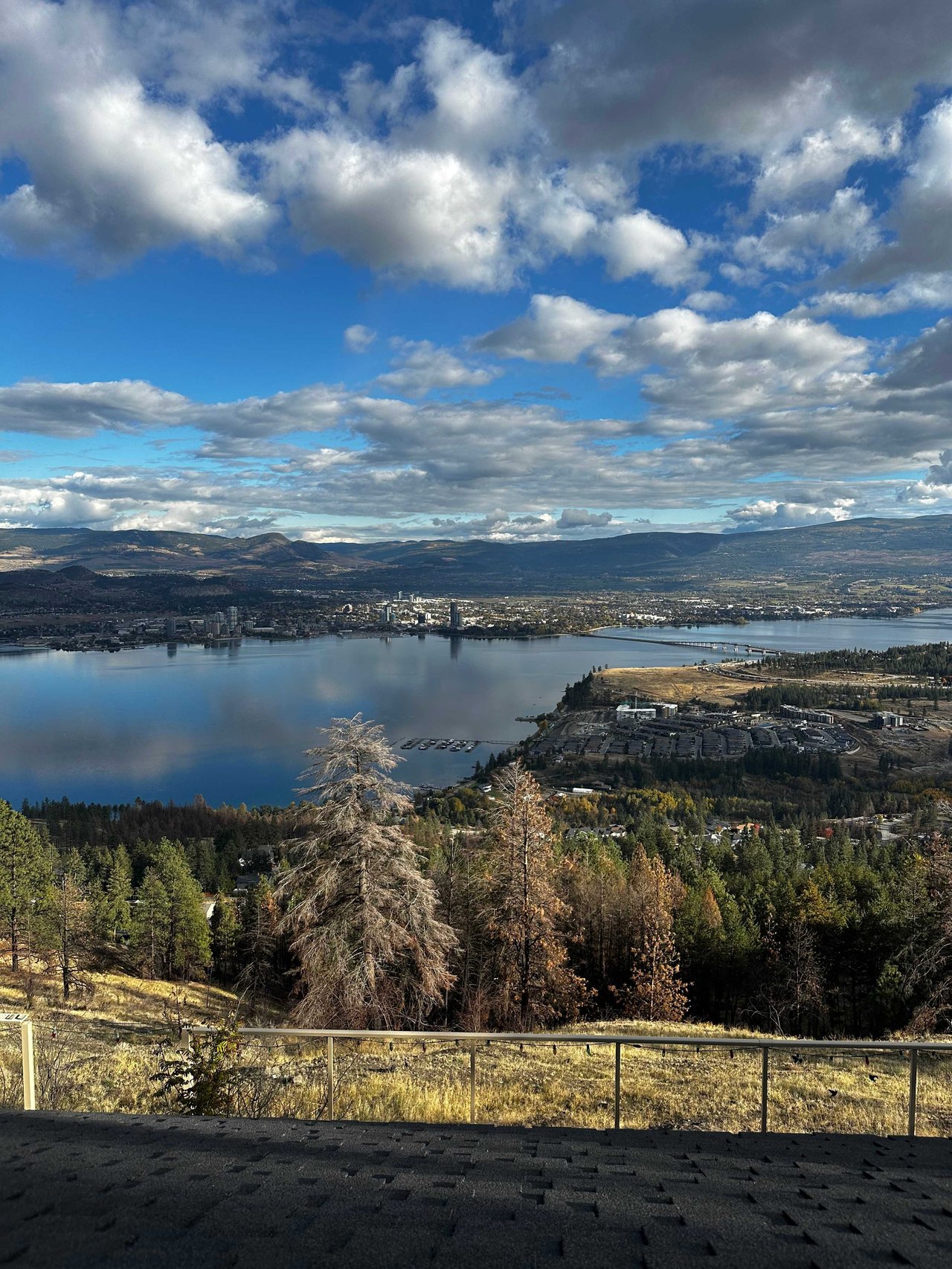 2024 Kelowna Real Estate Market: Who’s Buying, What’s Selling, and How to Thrive in the Changing Landscape